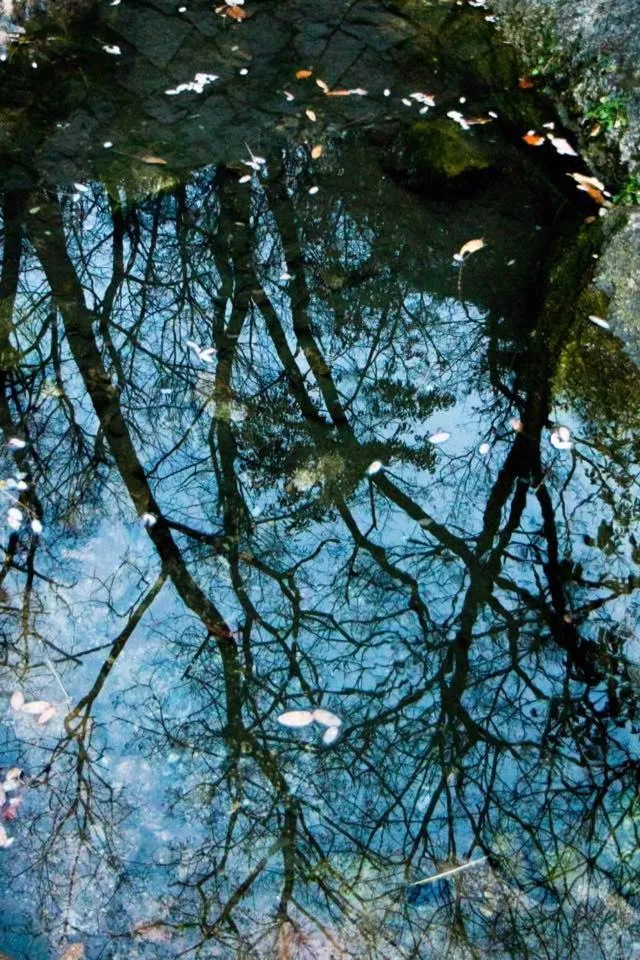 Property building in Lydia Craft Guesthouse