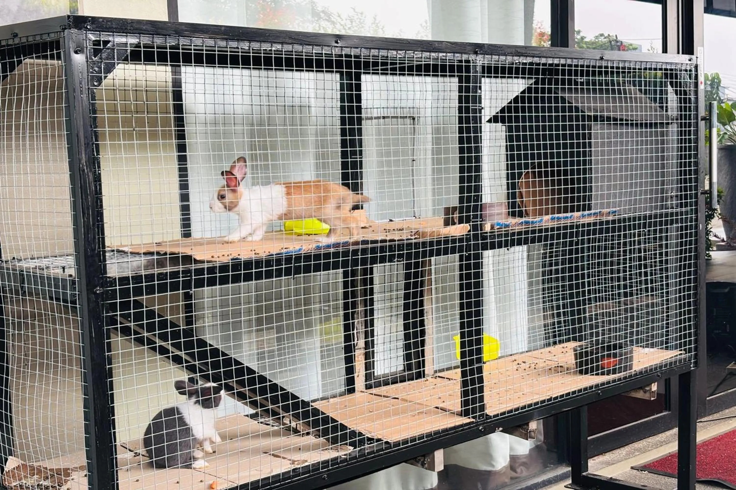 Decorative detail in Lemo Hotel Serpong