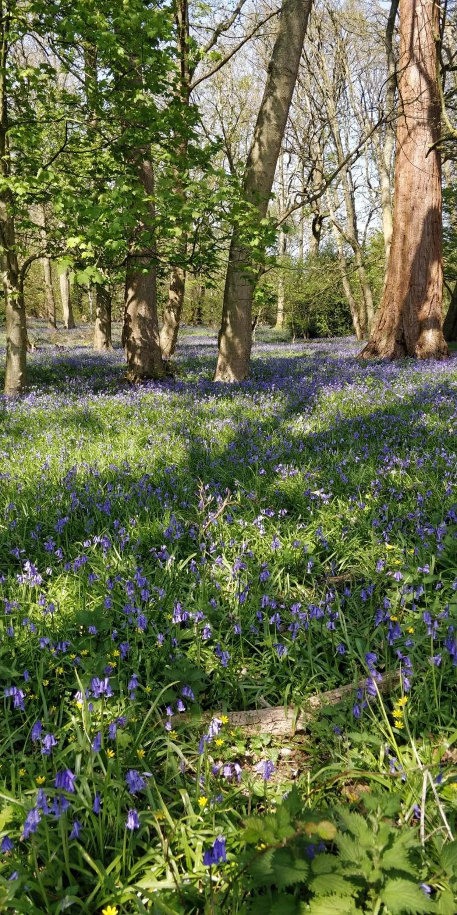 Pinfield Boutique Hotel