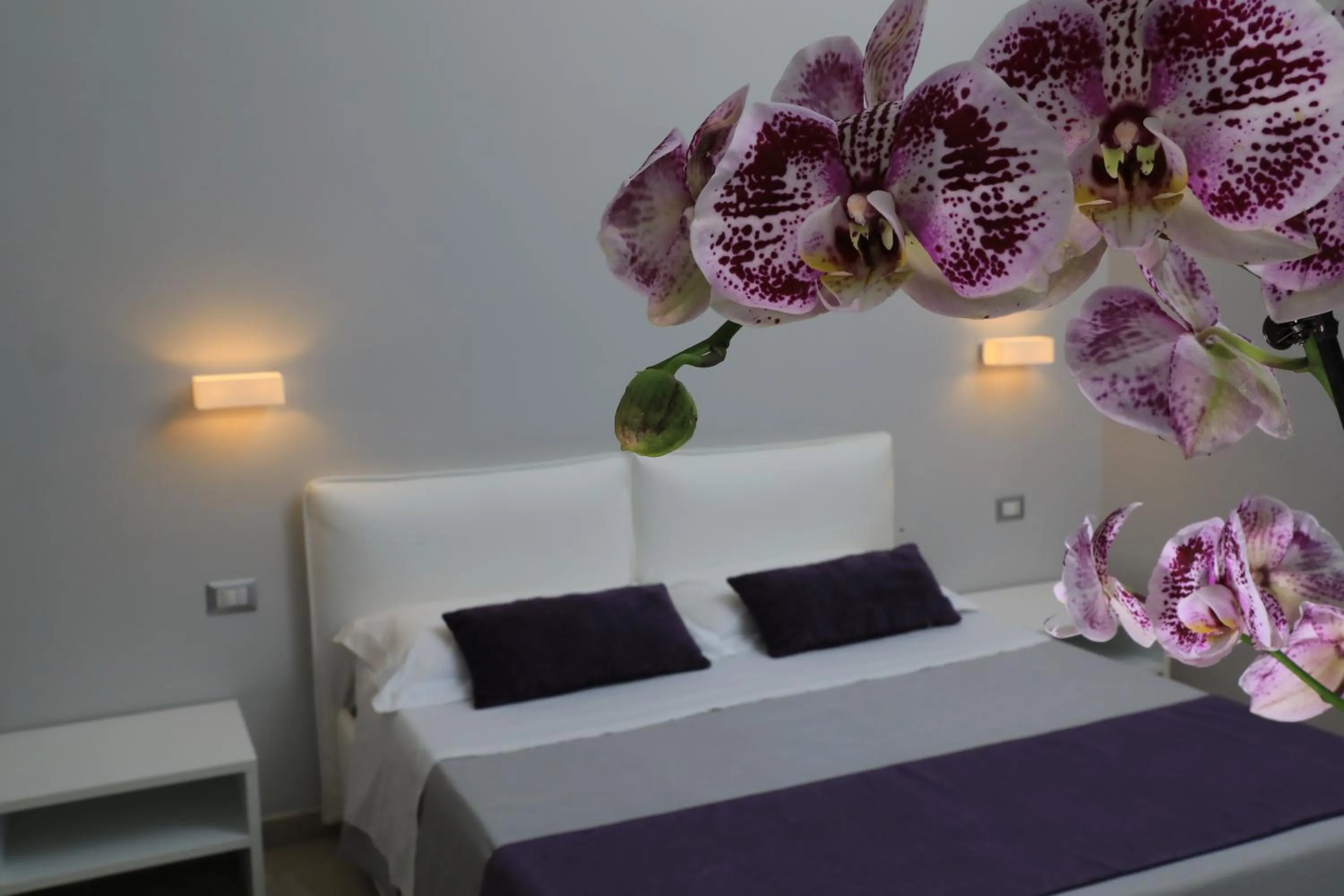 Decorative detail in Acquamarina B&b