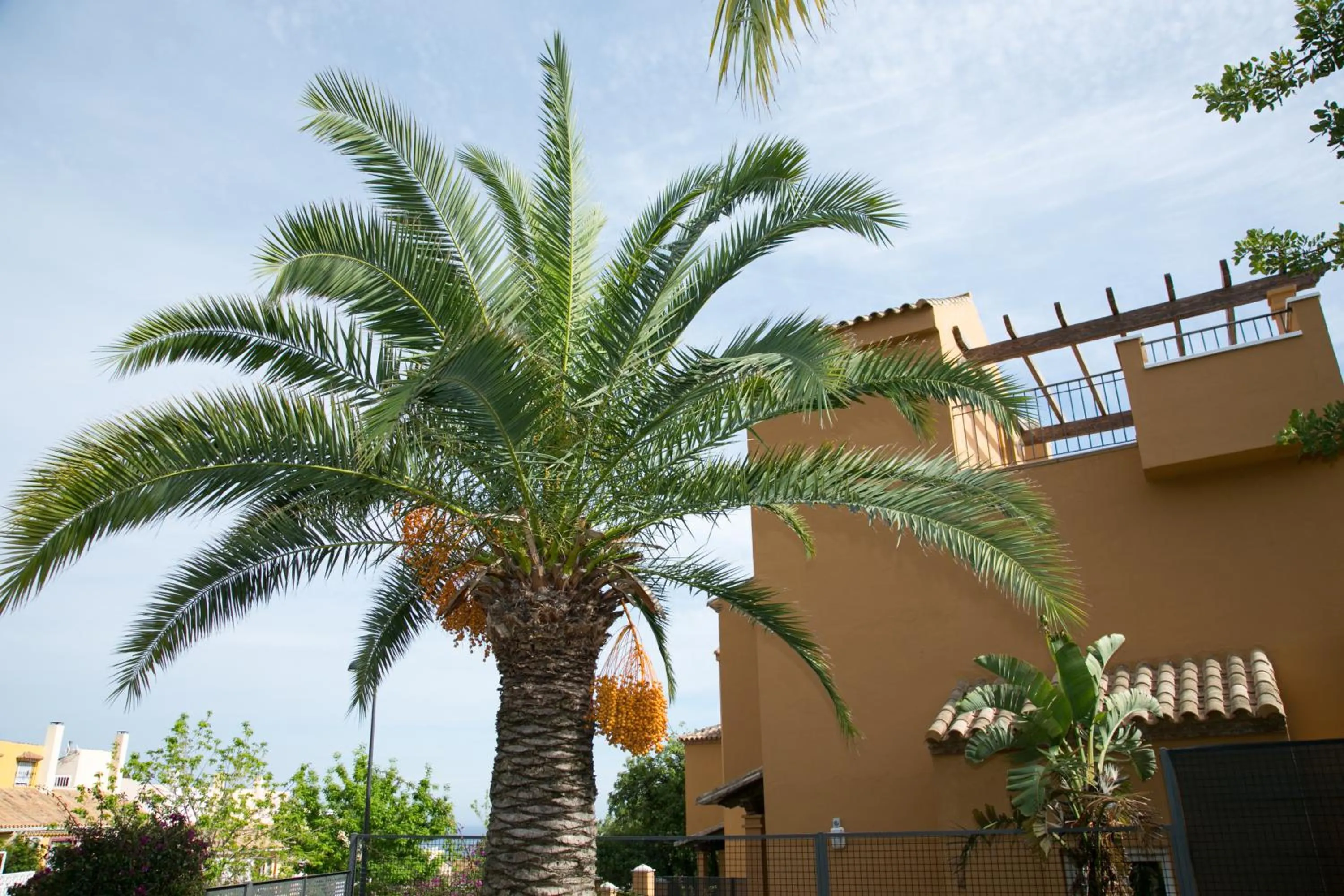 Property building in Villas Altos De Marbella