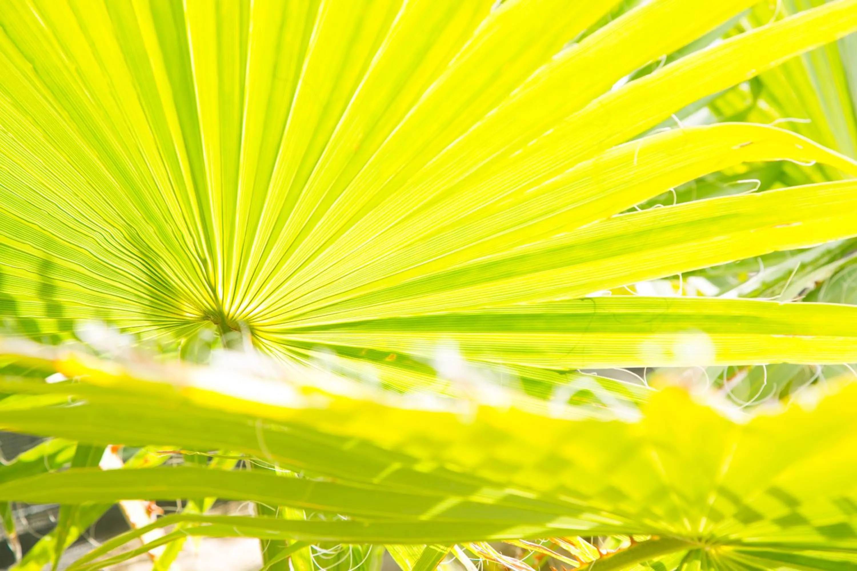 Other in Villas Altos De Marbella