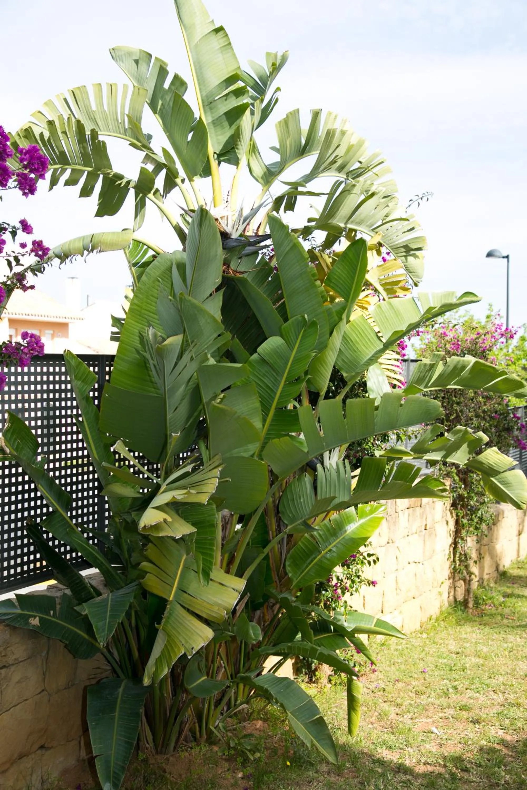 Day in Villas Altos De Marbella