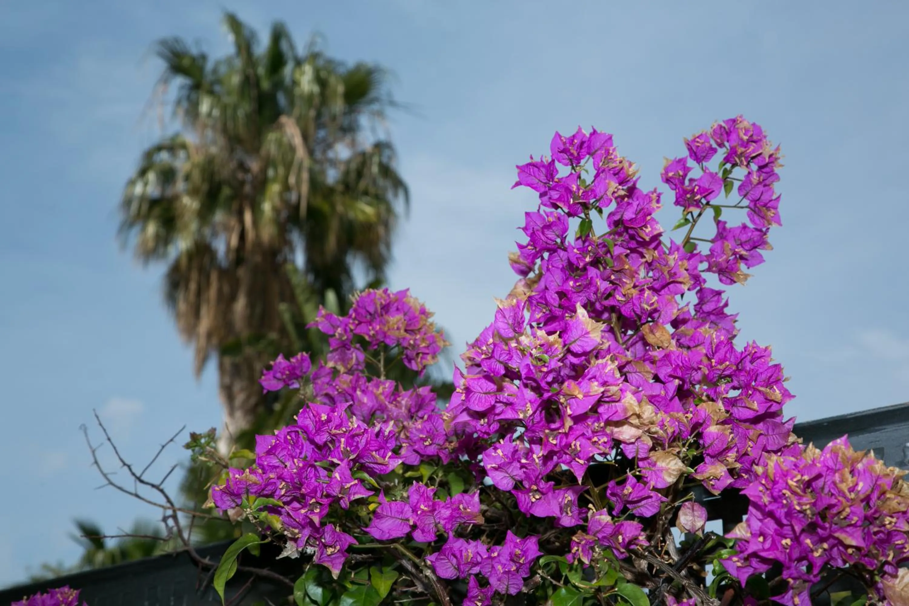 Other in Villas Altos De Marbella