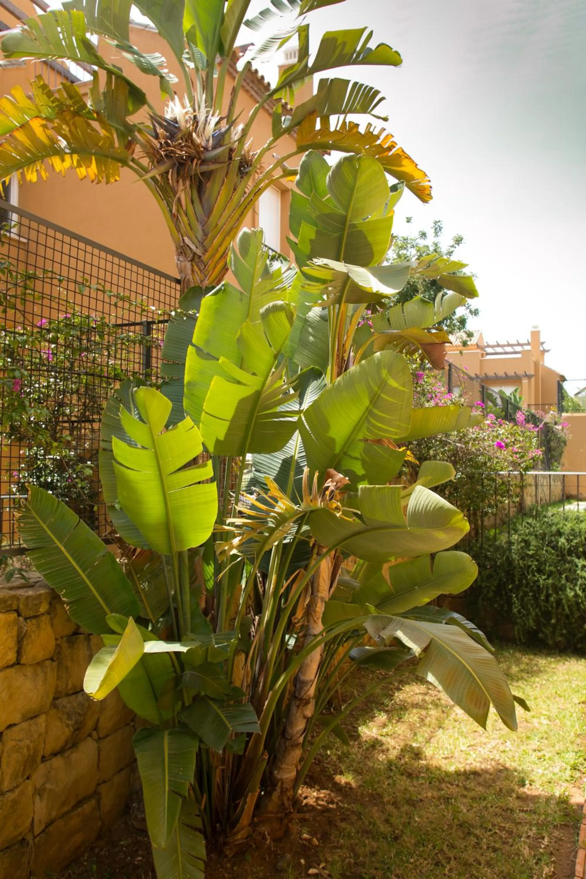 Day in Villas Altos De Marbella