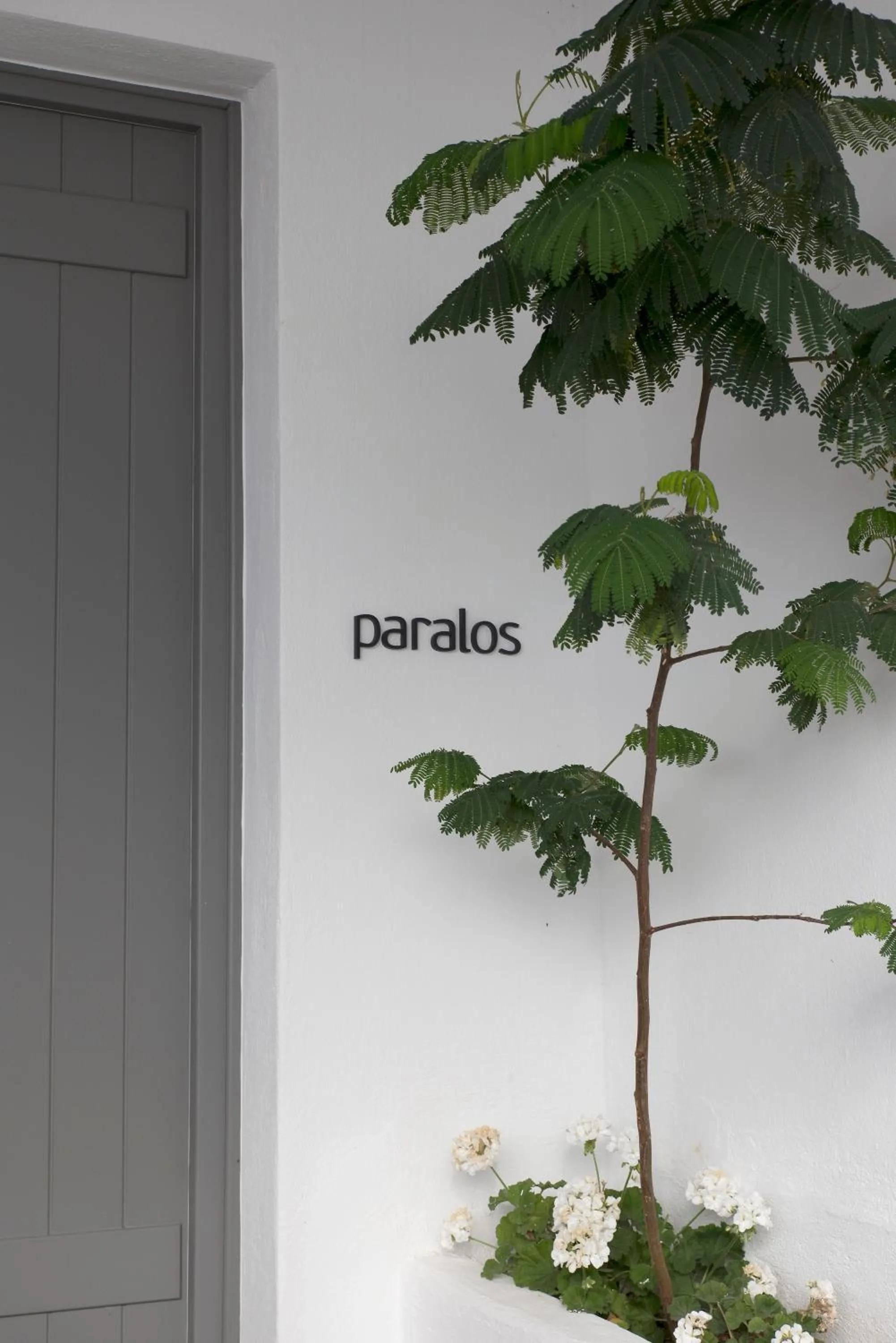 Photo of the whole room in Bellou Suites