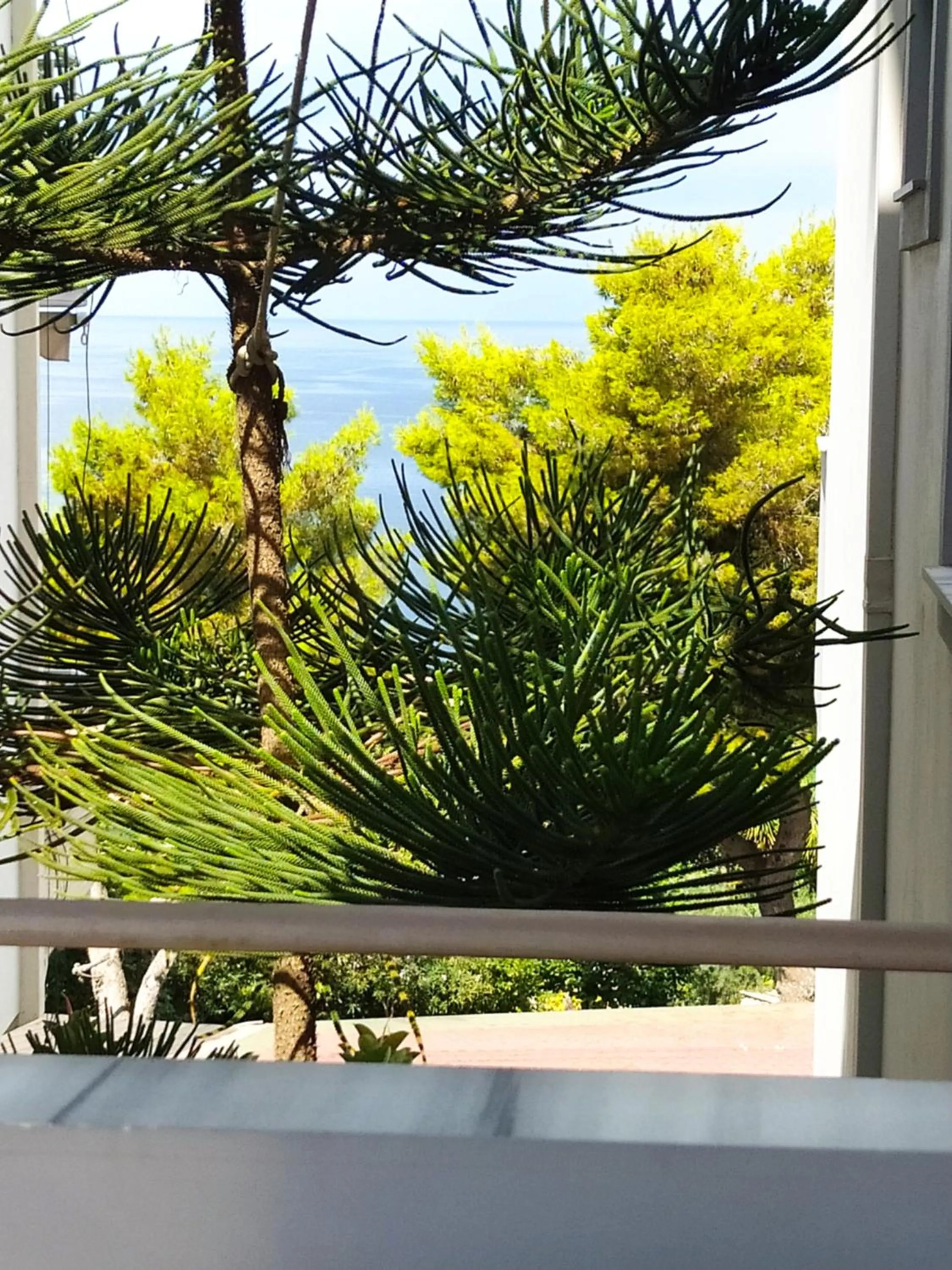 Twin Room with Mountain View - single occupancy in Hotel Chicago