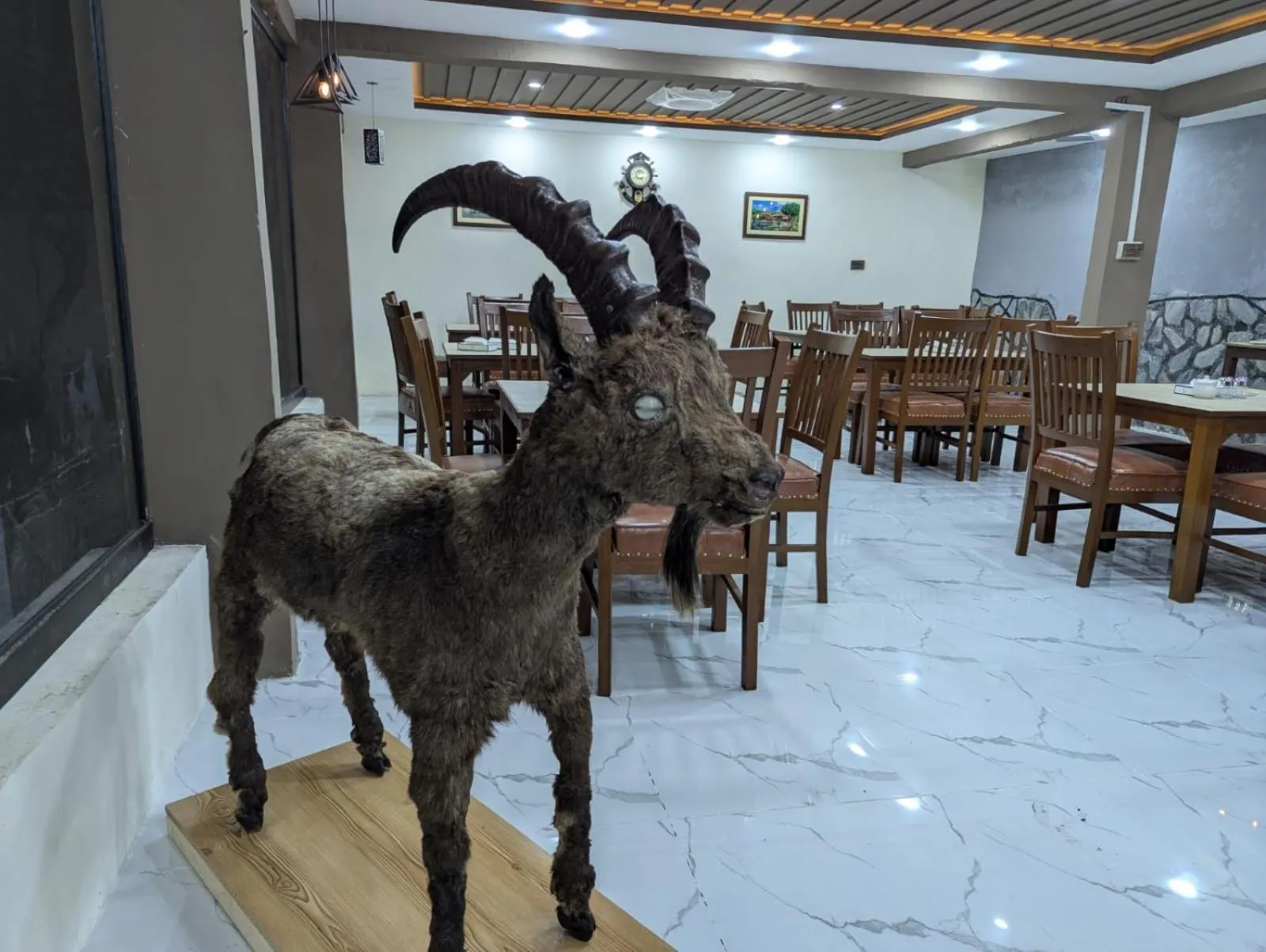 Restaurant/places to eat in Comfort Hotel & Huts