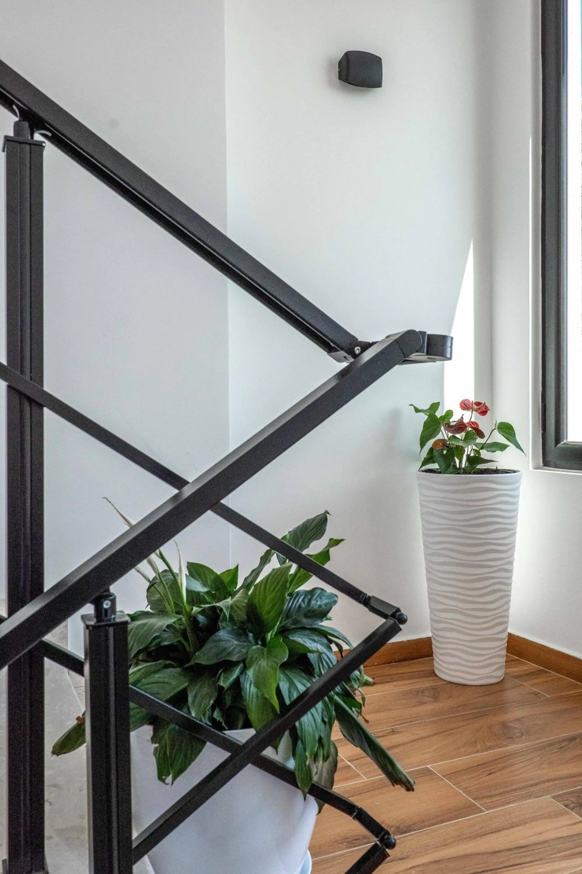 Property building in Hotel Havana