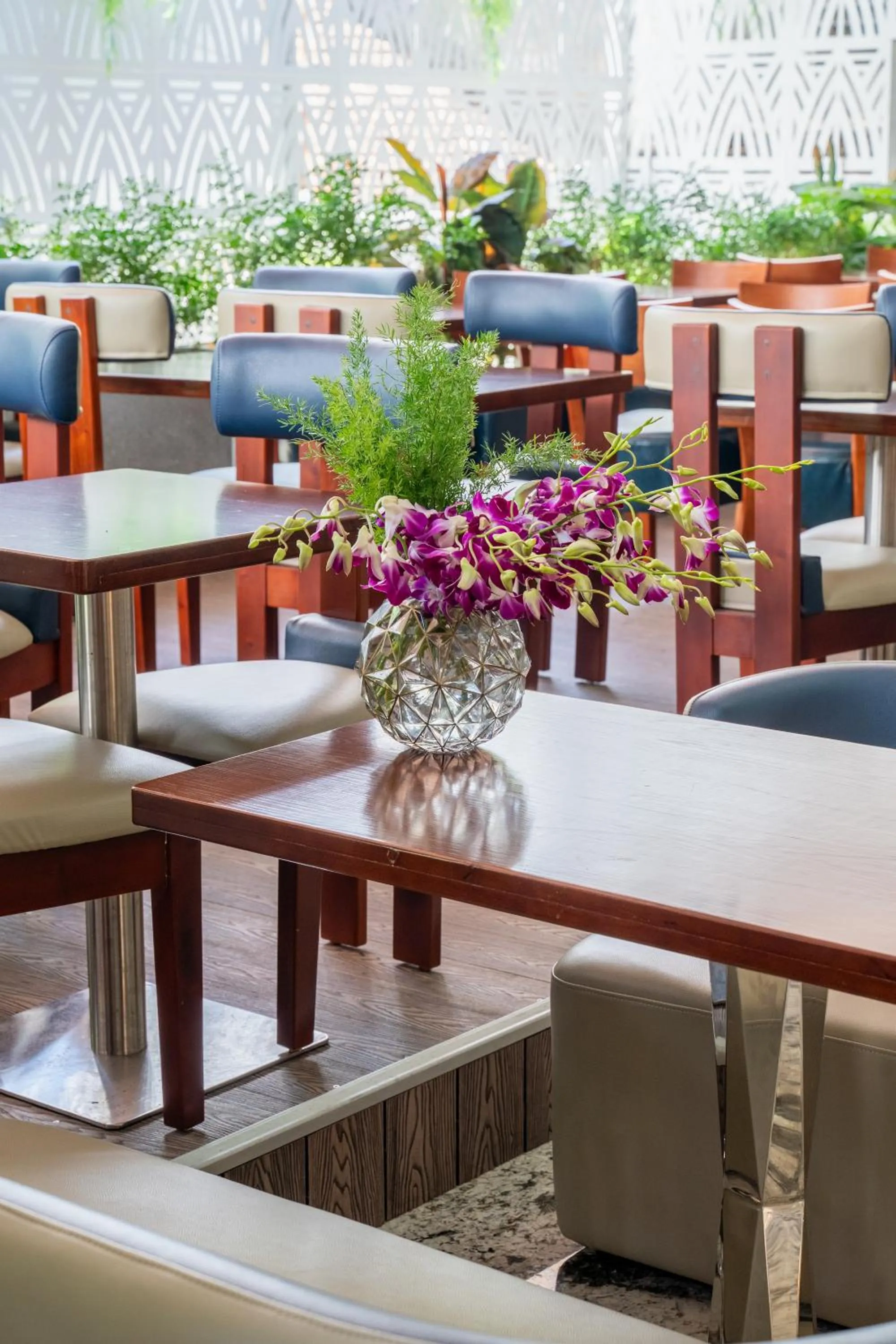 Restaurant/places to eat in W Premium Nha Trang