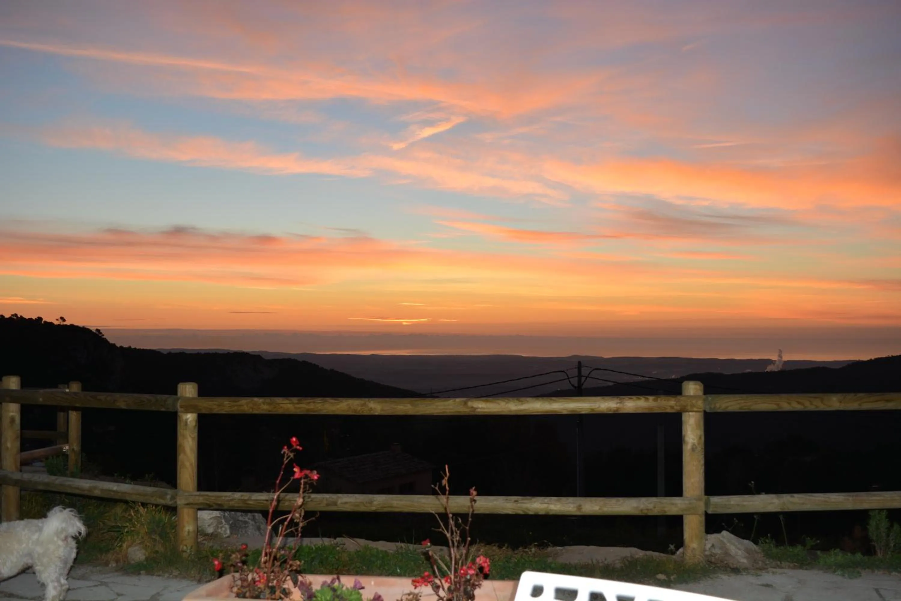 Natural landscape in Cor De Prades