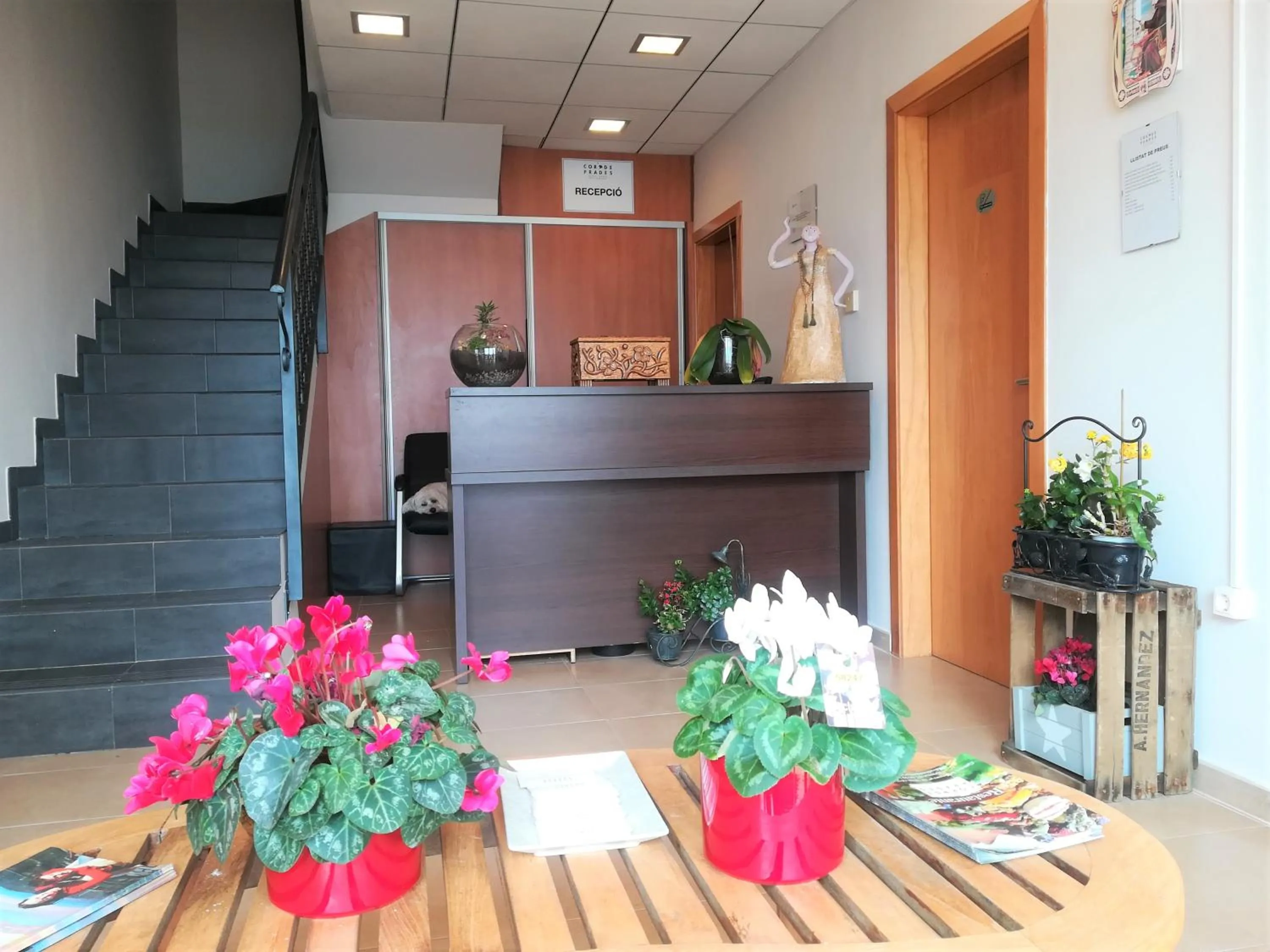 Lobby or reception in Cor De Prades