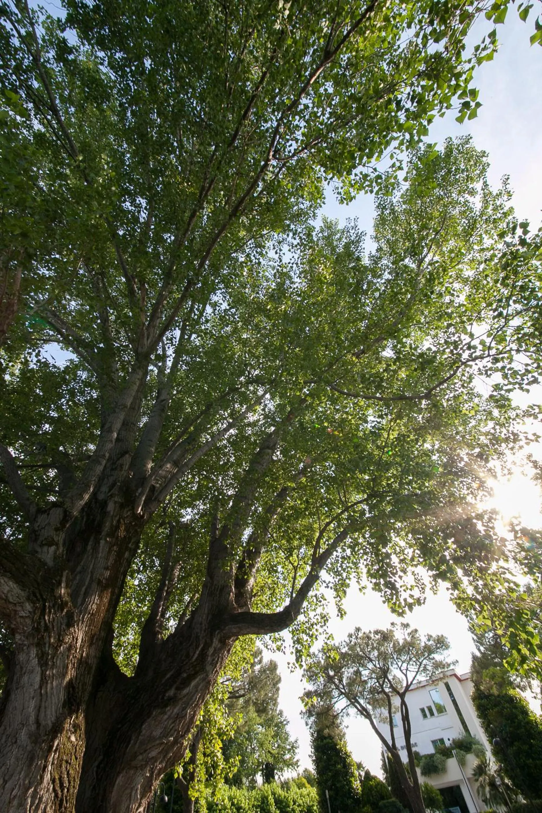 Nearby landmark in Hotel Aurora