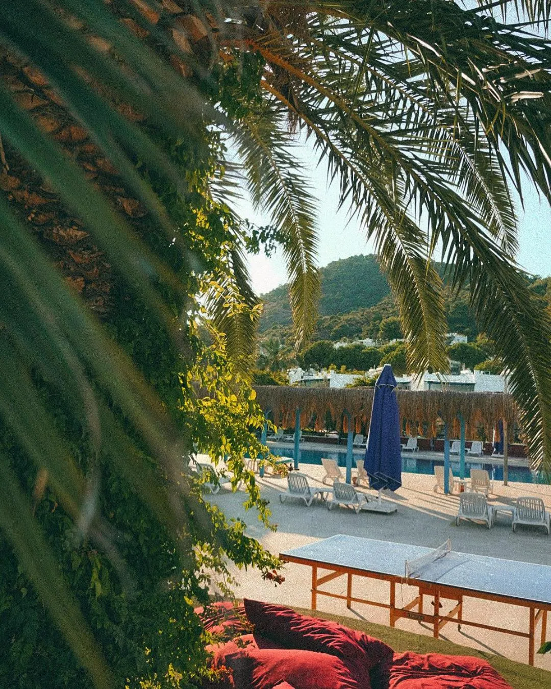 Lounge or bar in Club Afrodit Tatil Köyü