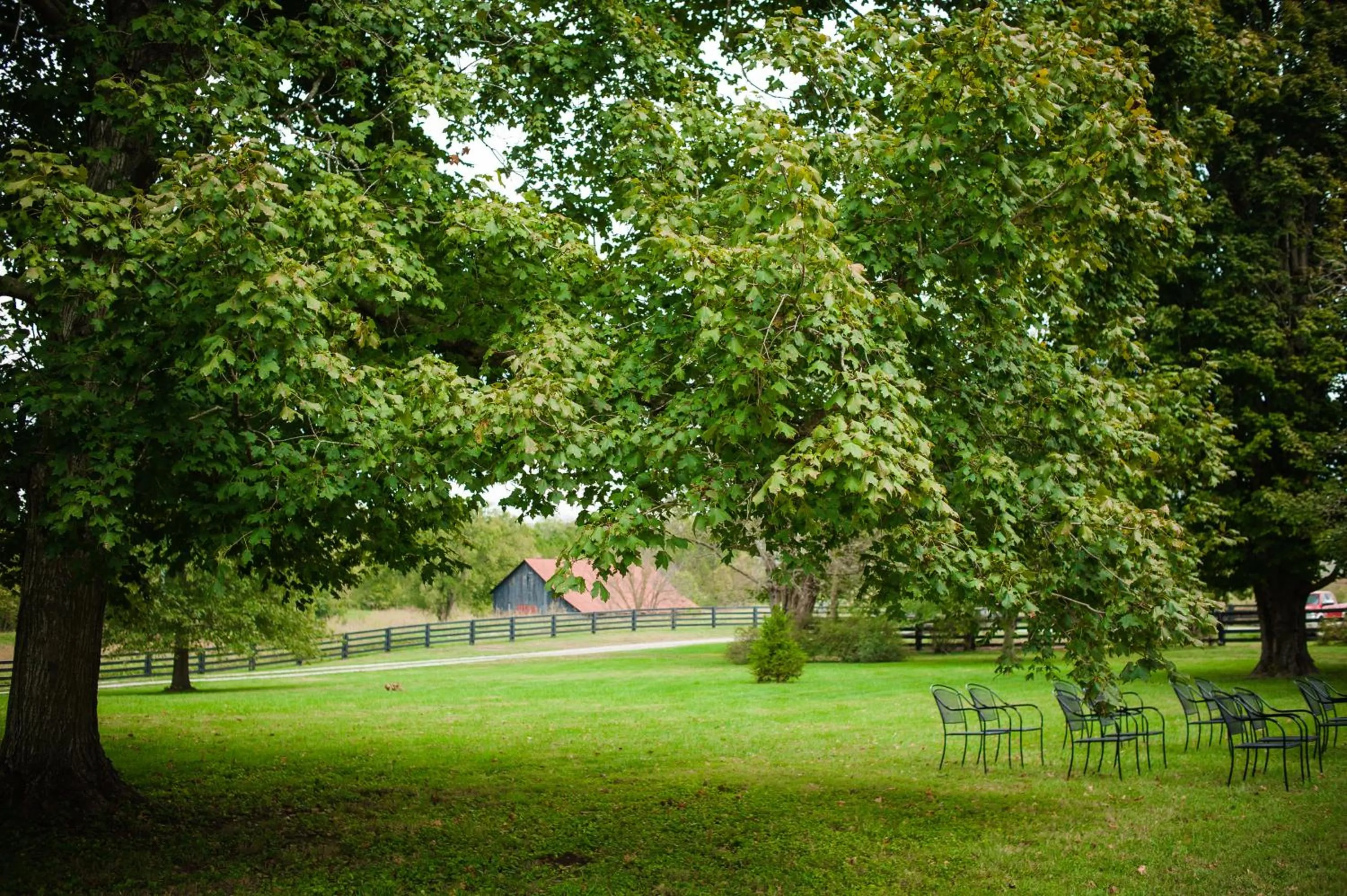 Balcony/Terrace in The Denny House