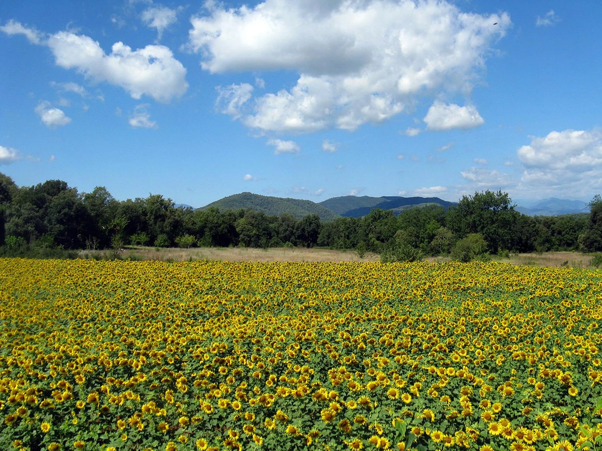Mountain view in Hotel Mas Pelegri