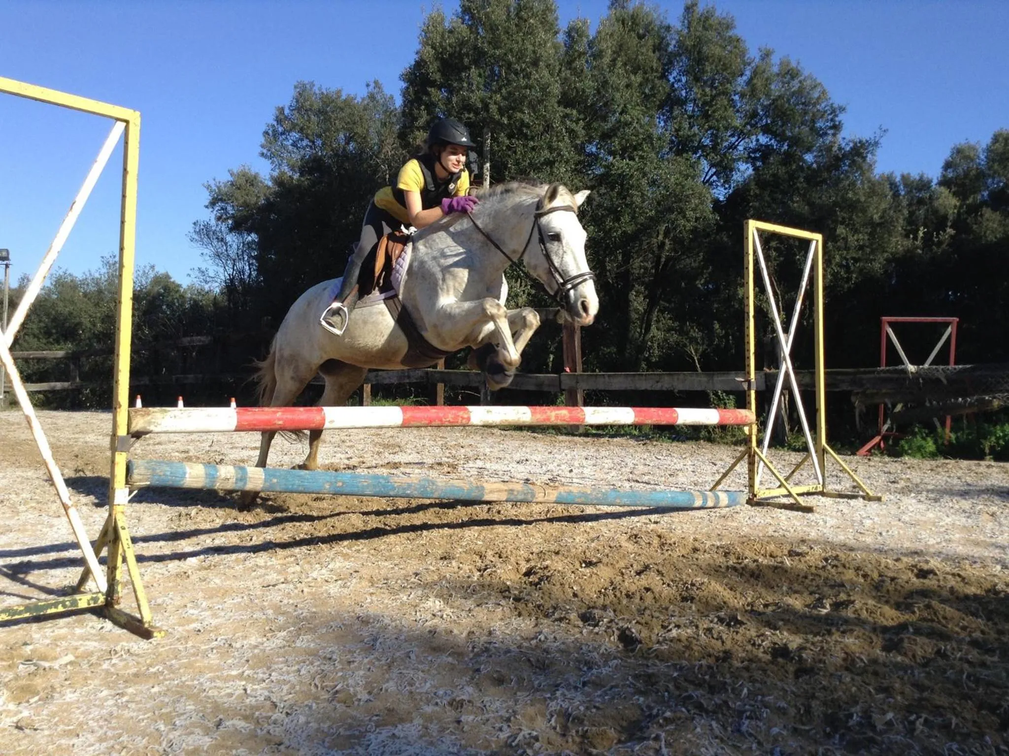 Area and facilities in Hotel Mas Pelegri