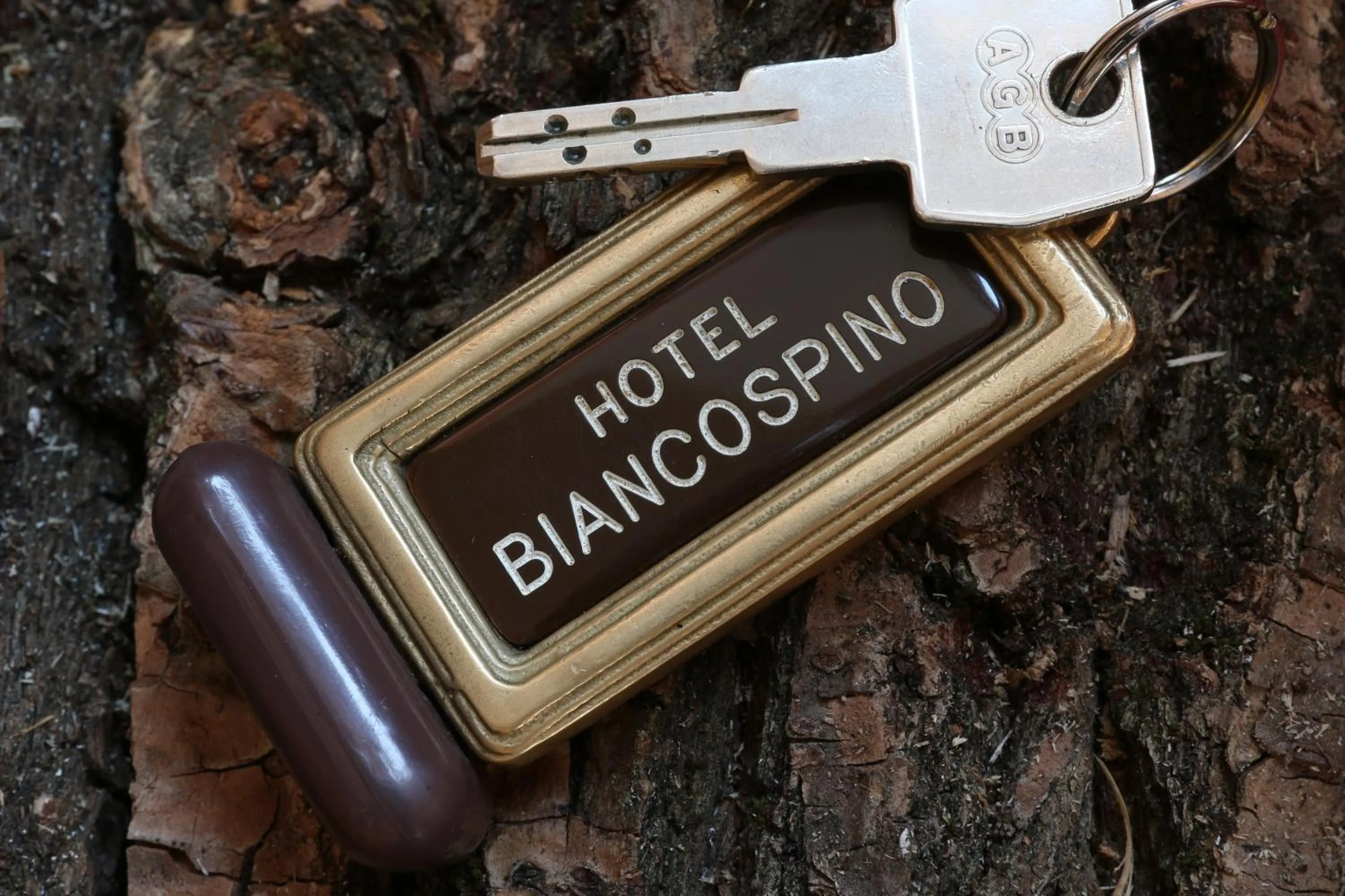 Logo/Certificate/Sign in Hotel Biancospino
