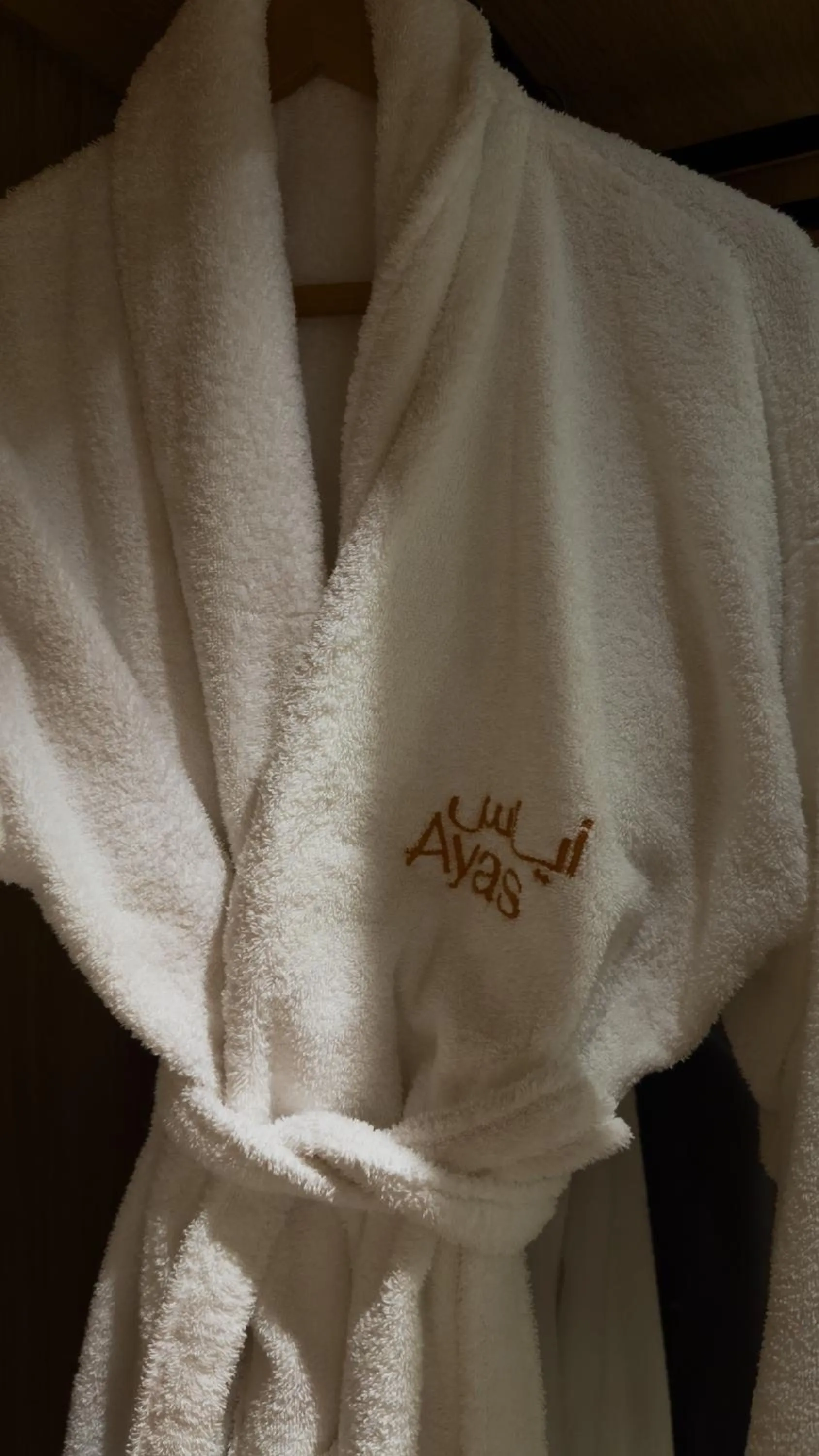 Ayas Hotel