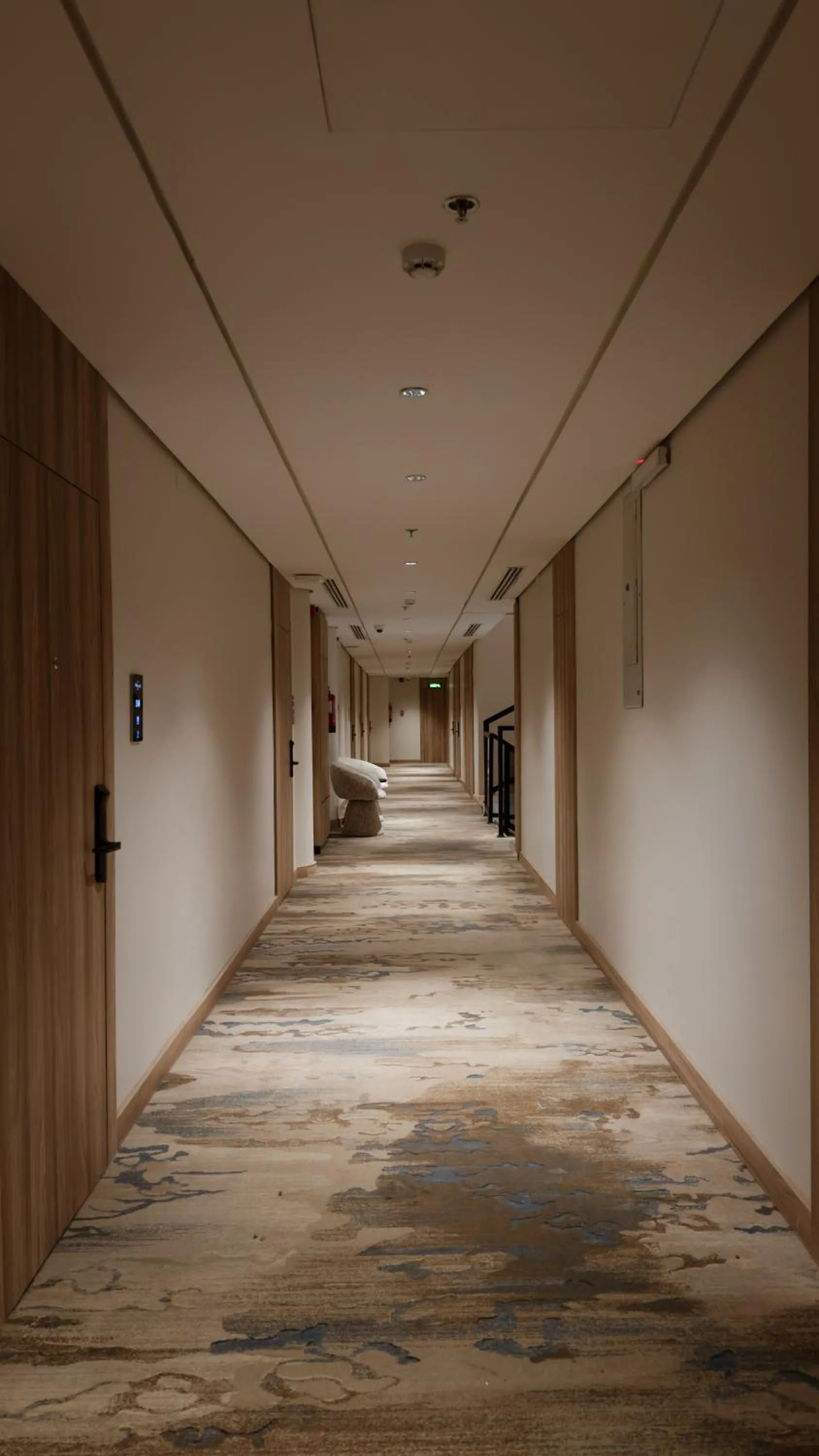 Ayas Hotel