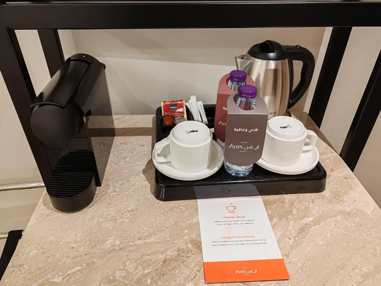 Ayas Hotel