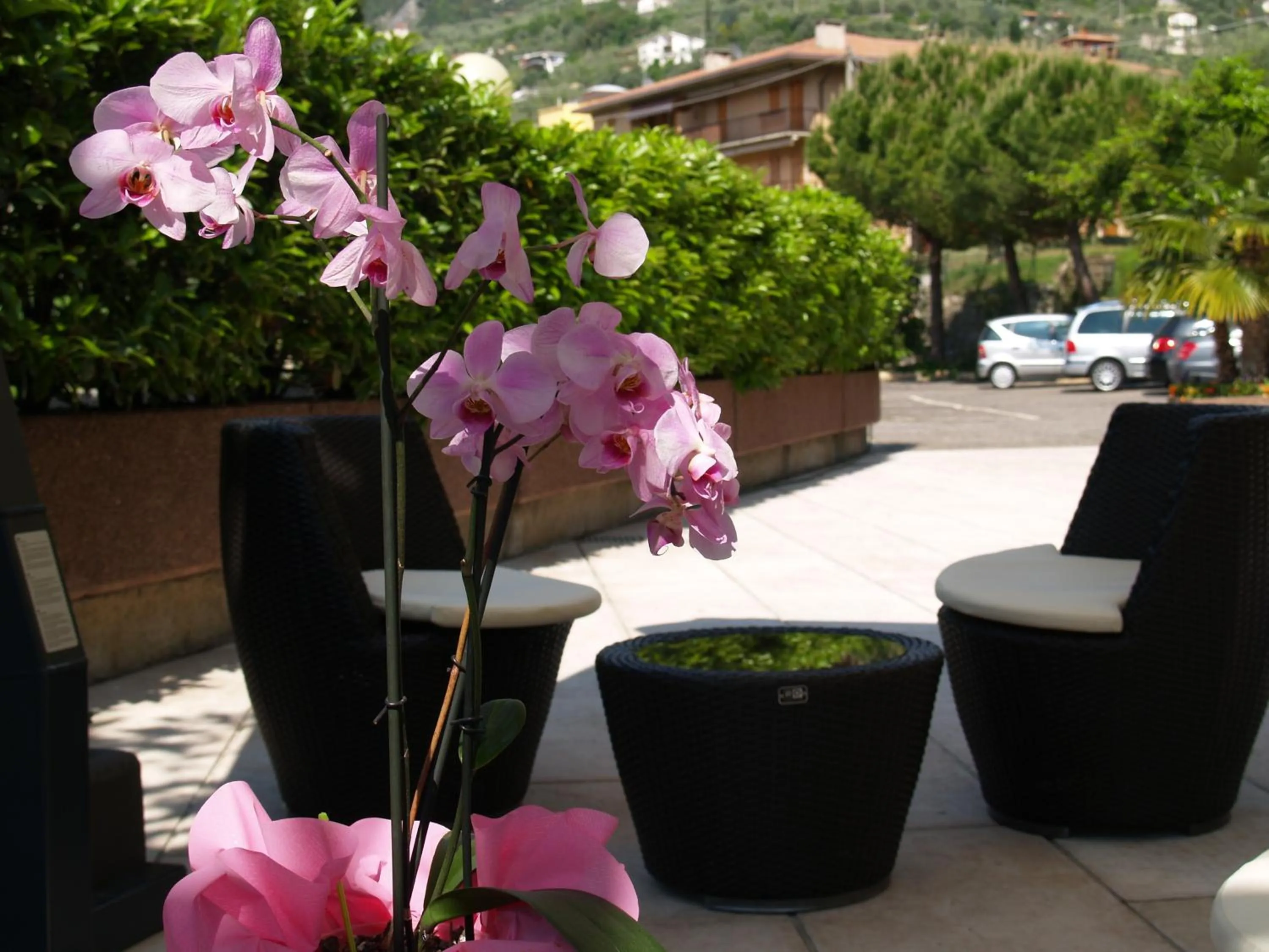 Facade/entrance in Hotel Casa Serena