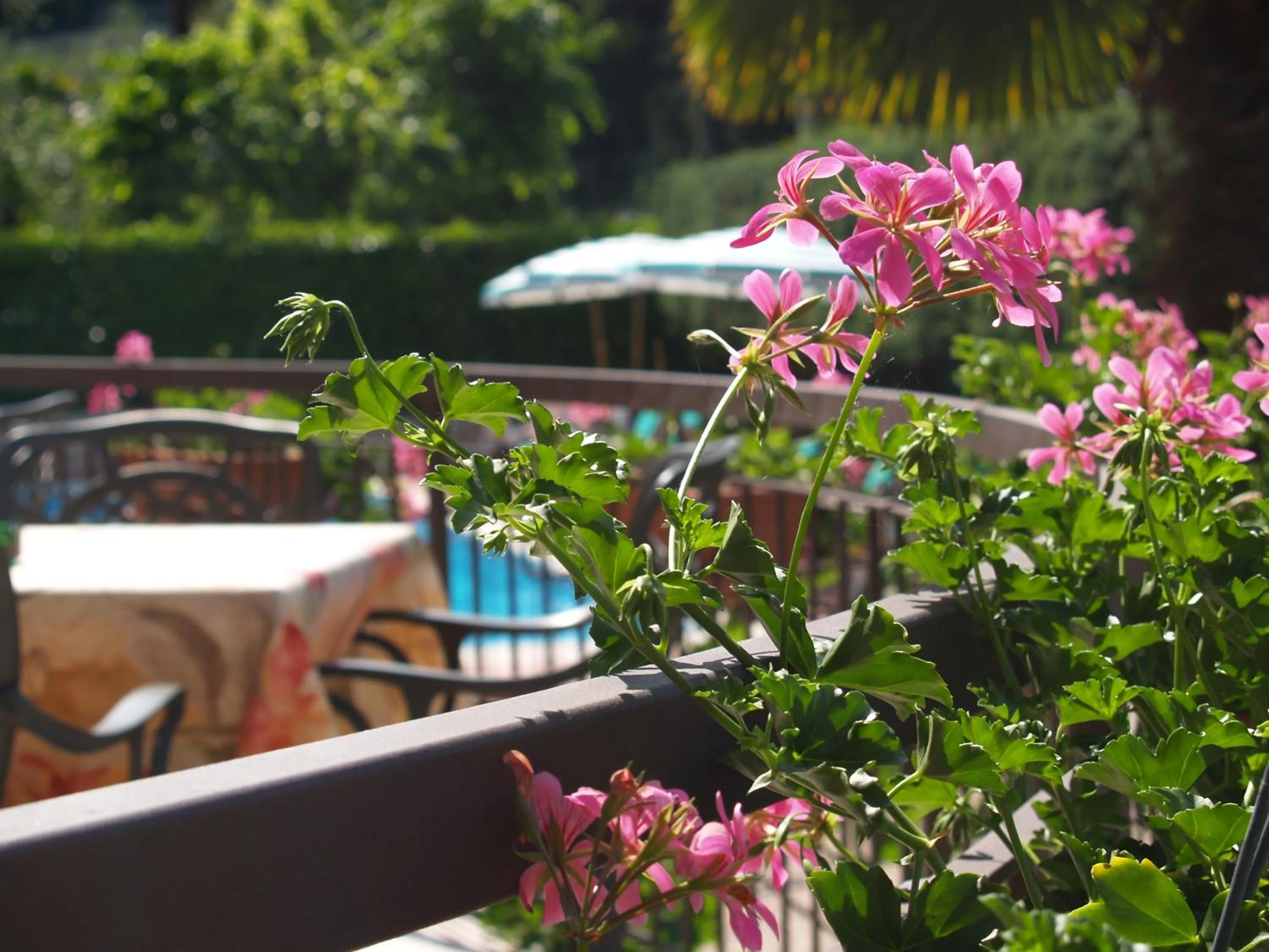 Facade/entrance in Hotel Casa Serena