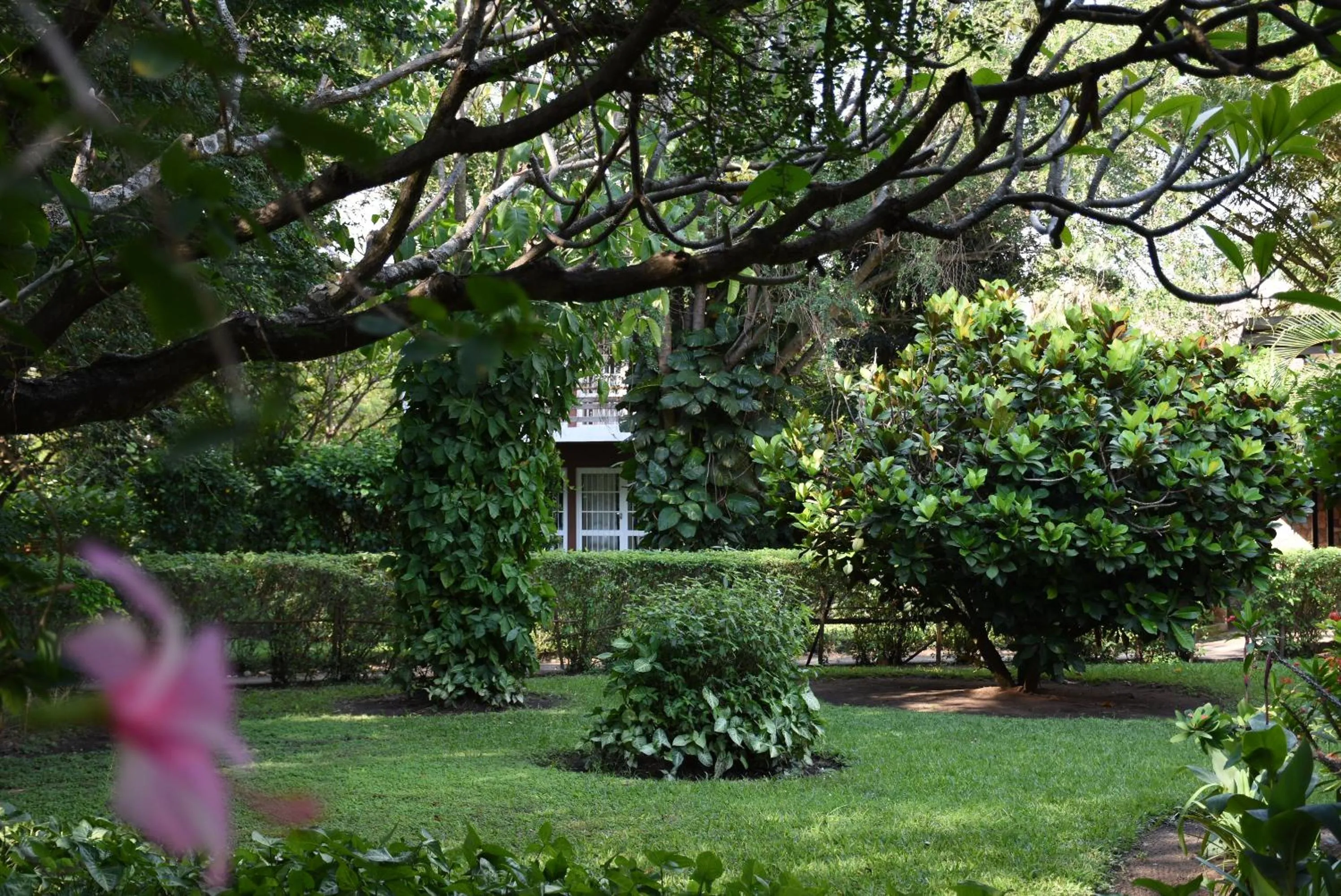 Garden in Hotel Club du Lac Tanganyika