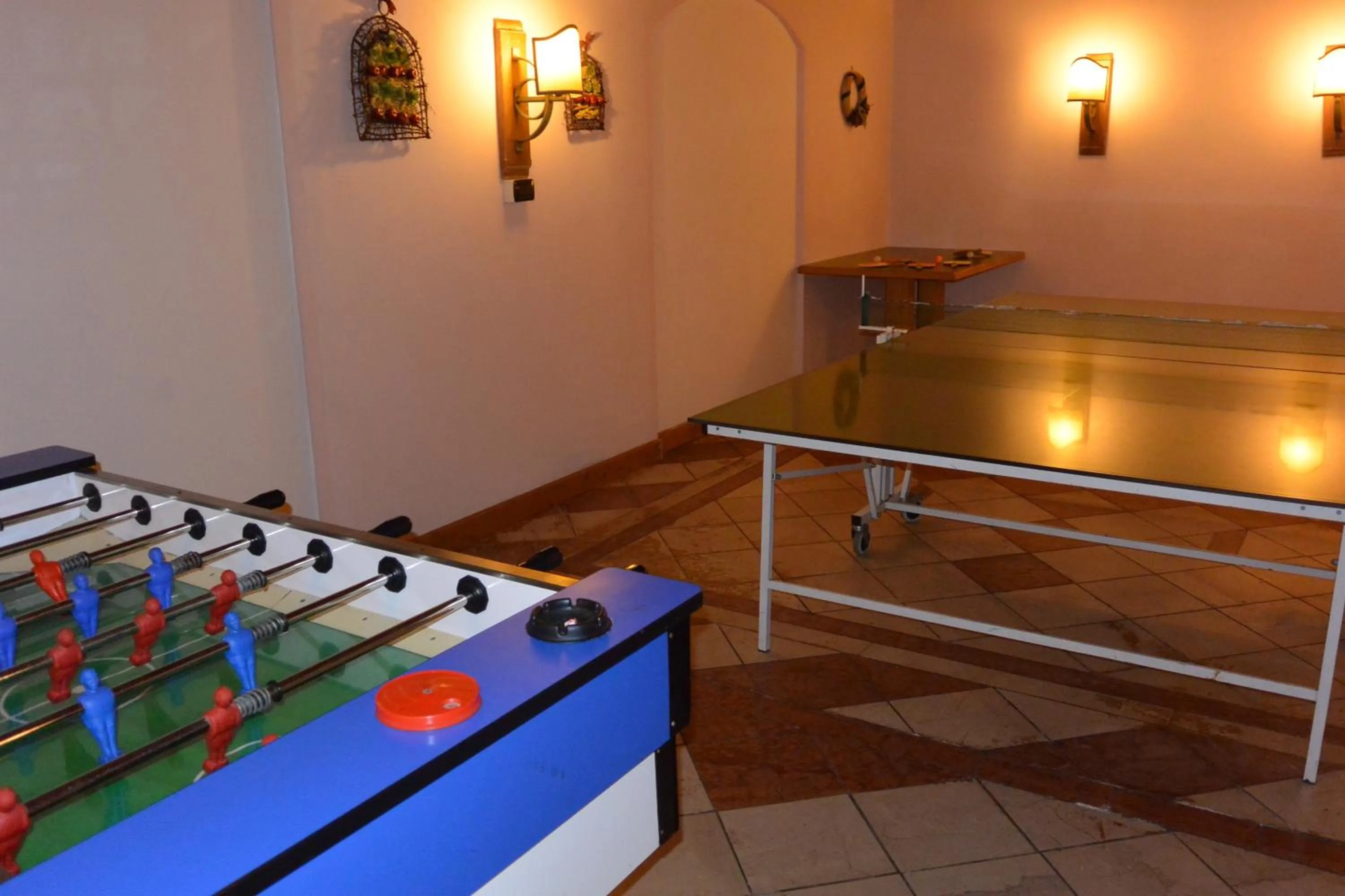 Table tennis in Hotel Bertelli