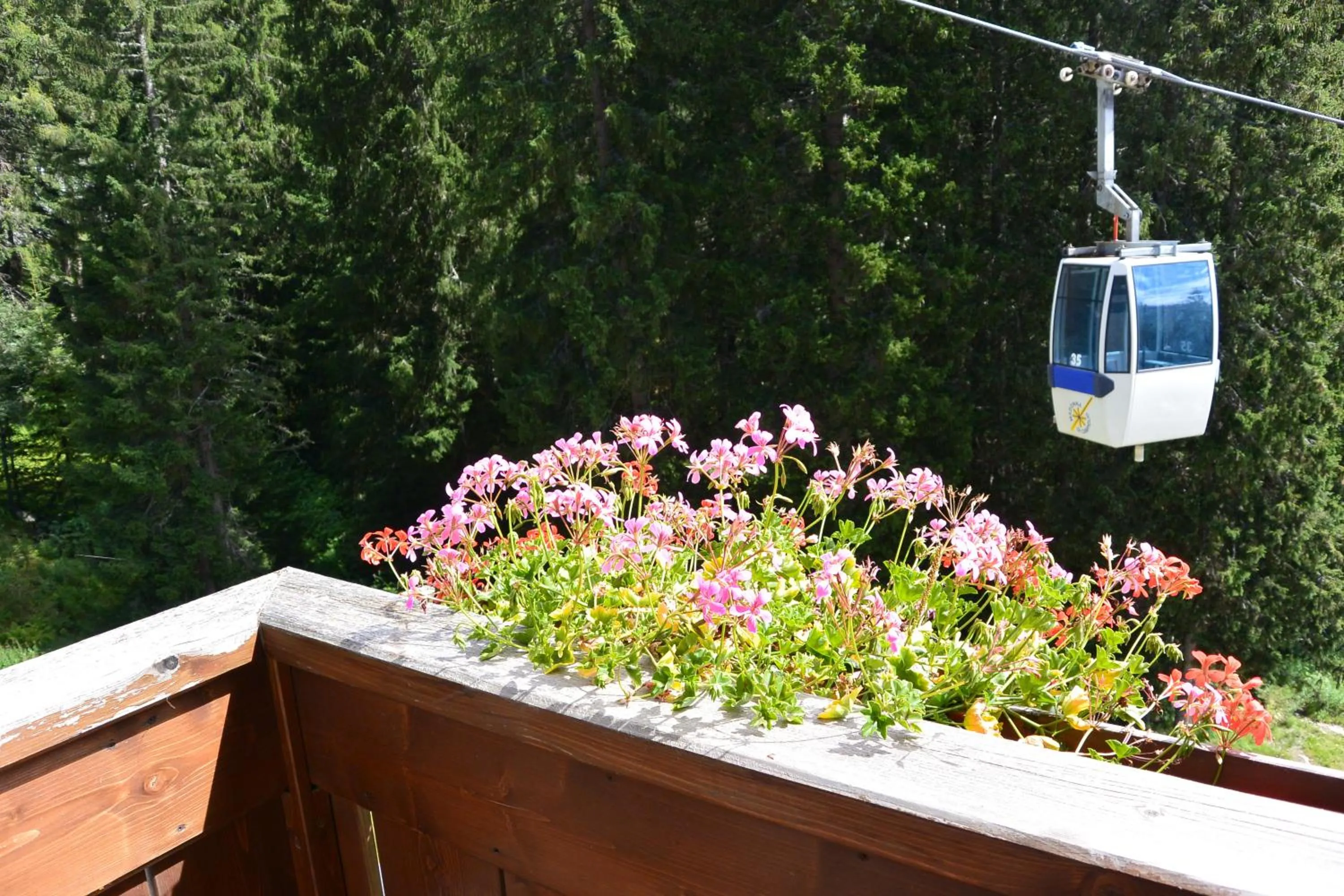 View (from property/room) in Hotel Bertelli