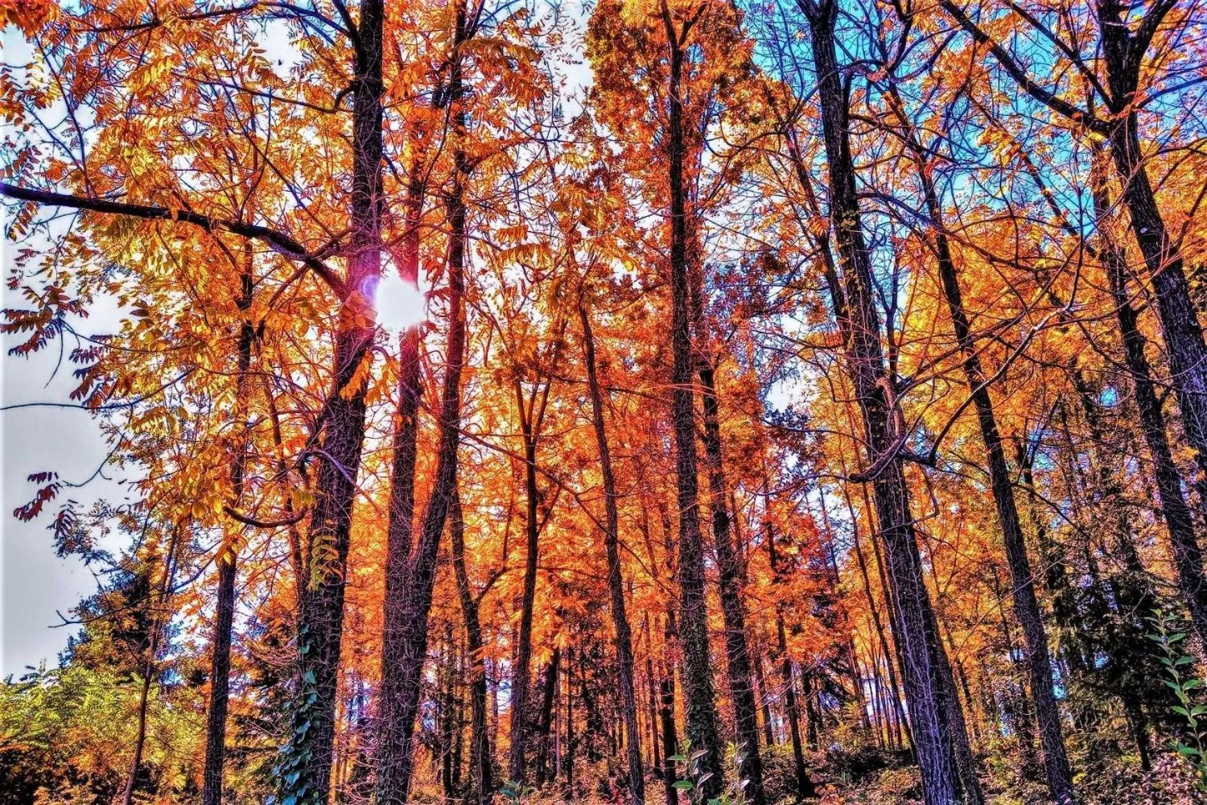 Garden view in Ca'Luna Guest House