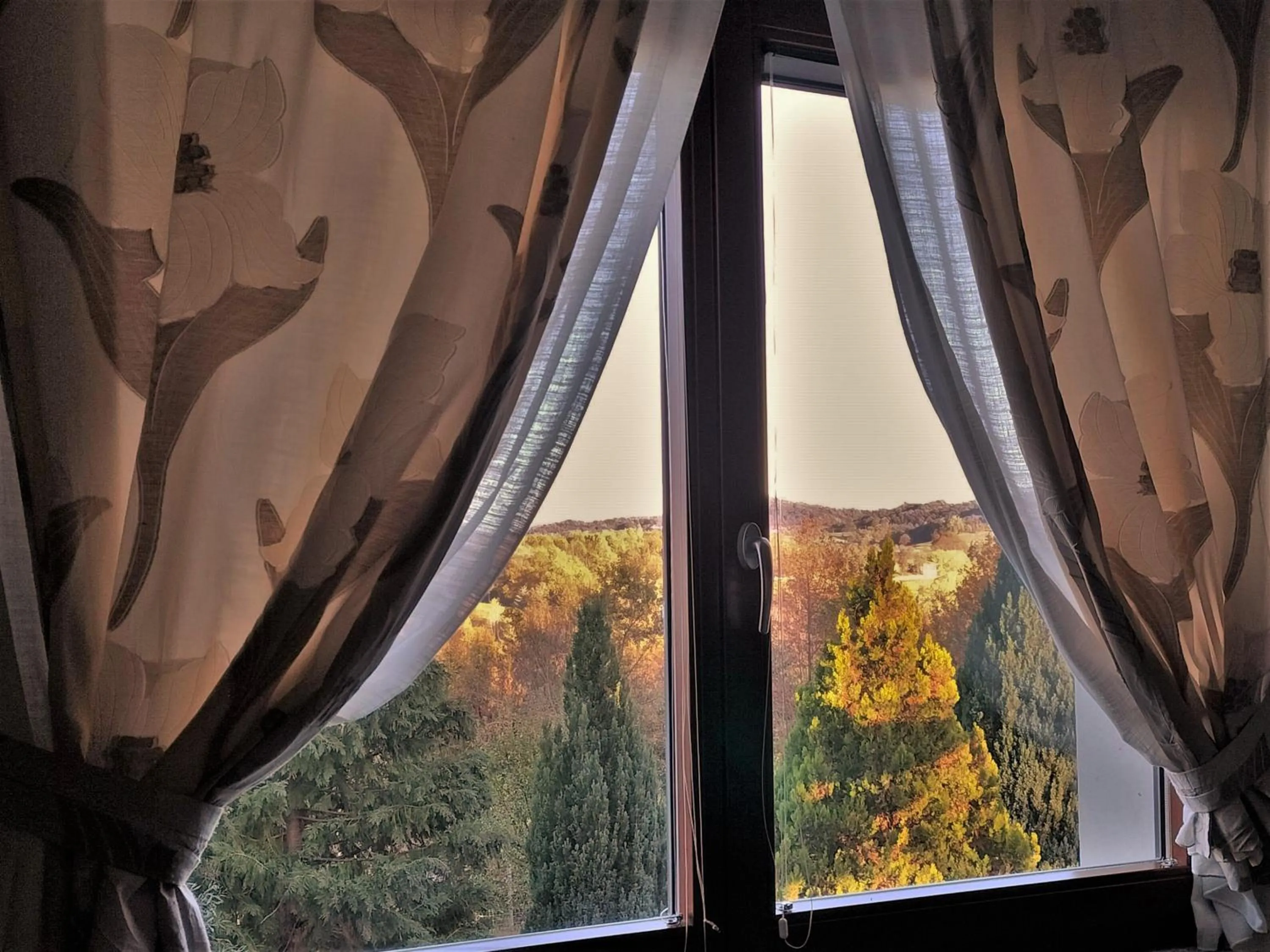 View (from property/room) in Ca'Luna Guest House