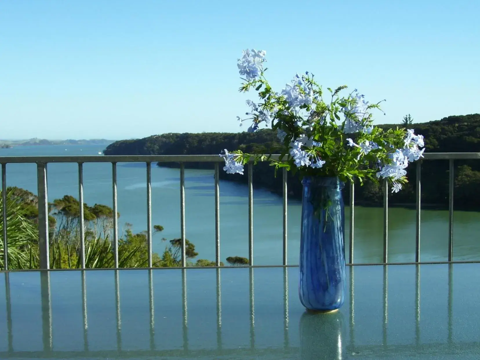 Pipiroa Bay Homestay Pipiroa Bay Homestay