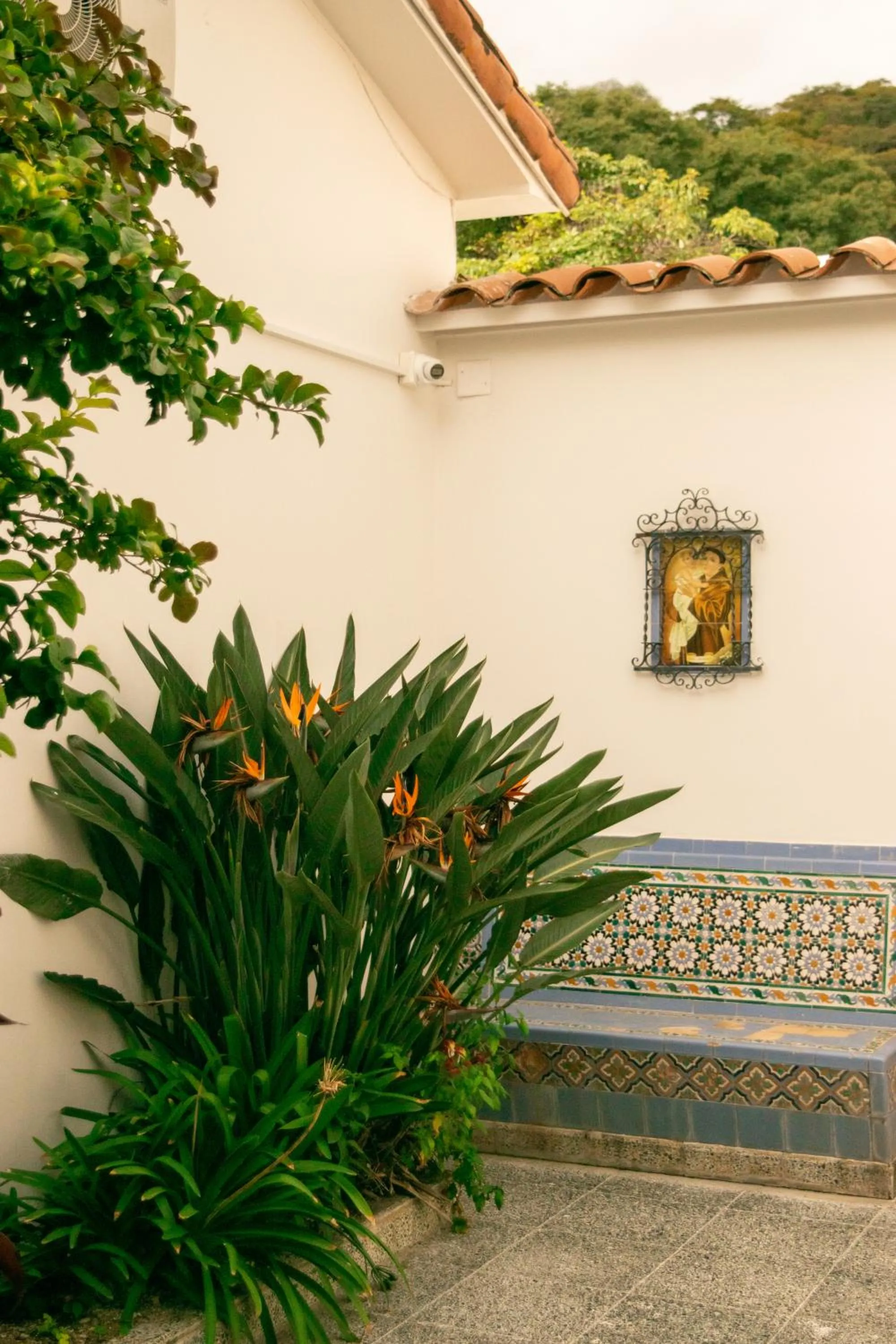 Garden in La Casona del Monumento