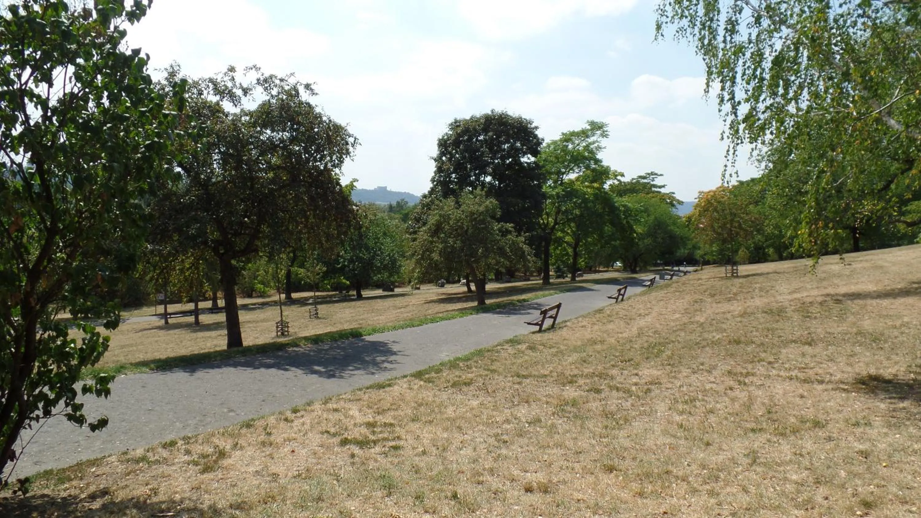 Natural landscape in Apartments Rokytka - Praha