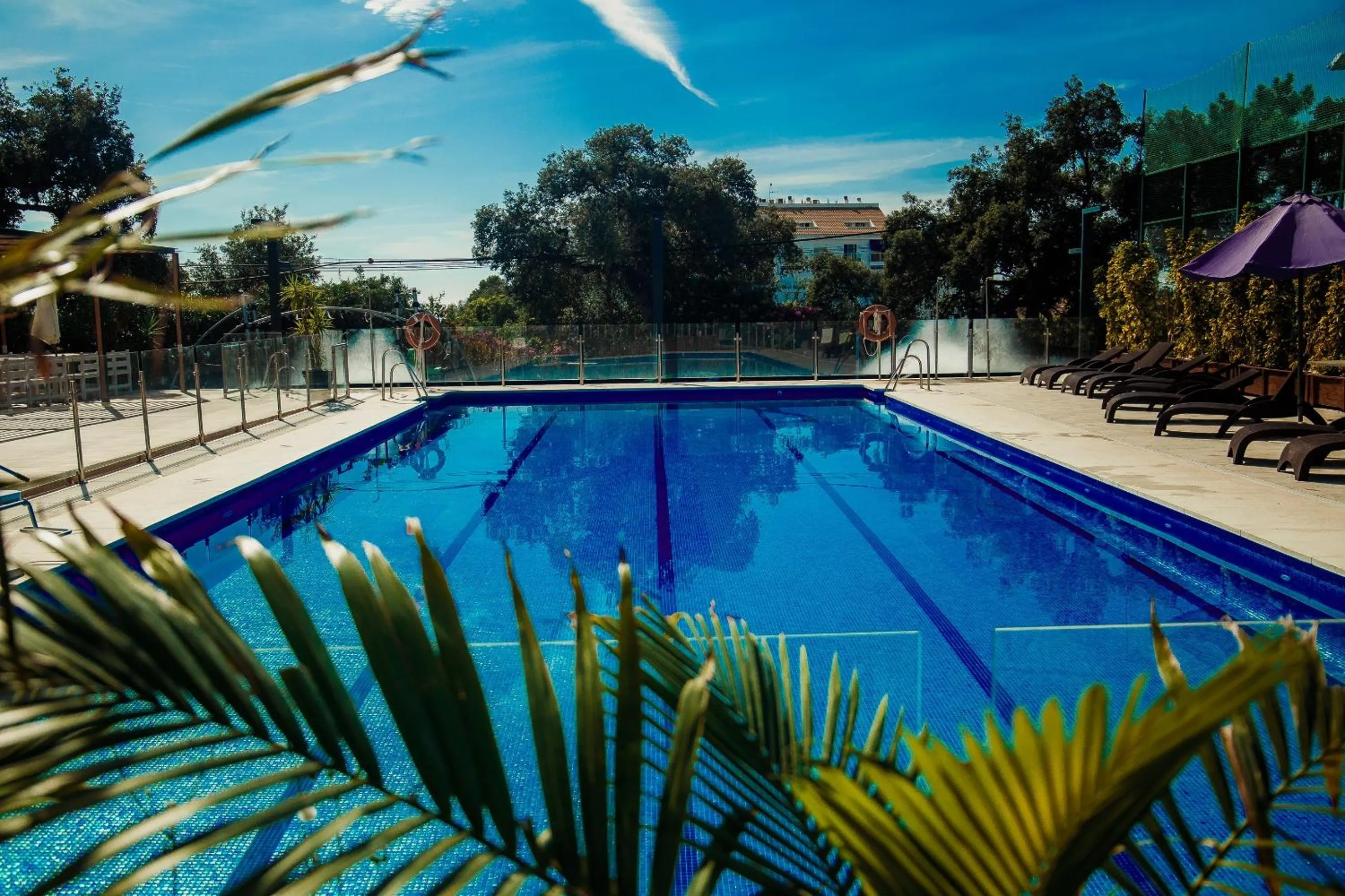 Swimming pool in Royal Tennis Club