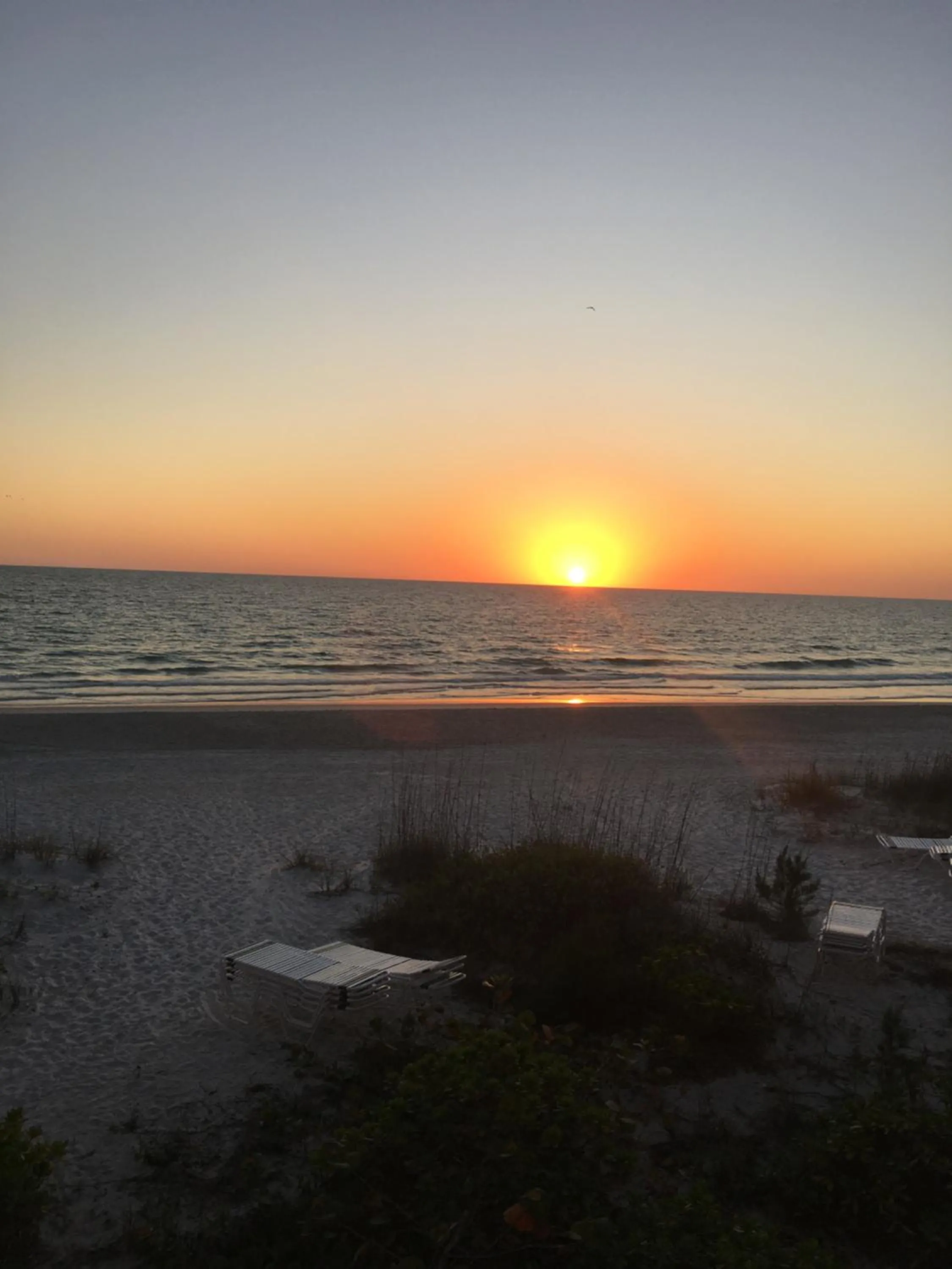 Natural landscape in Coquina Beach Club 109
