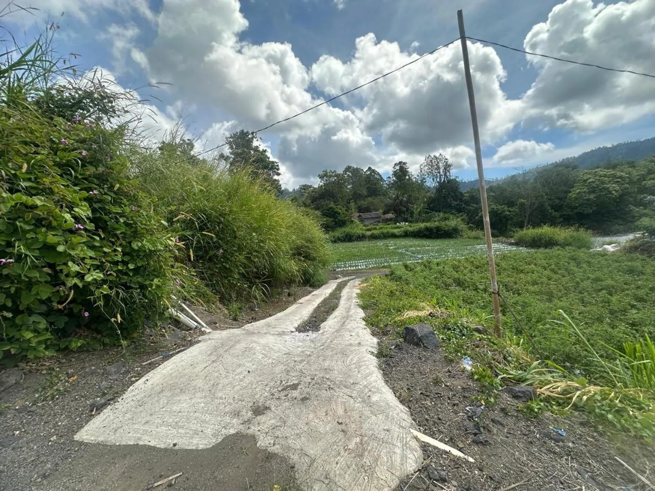 Natural landscape in Nirwana Kintamani