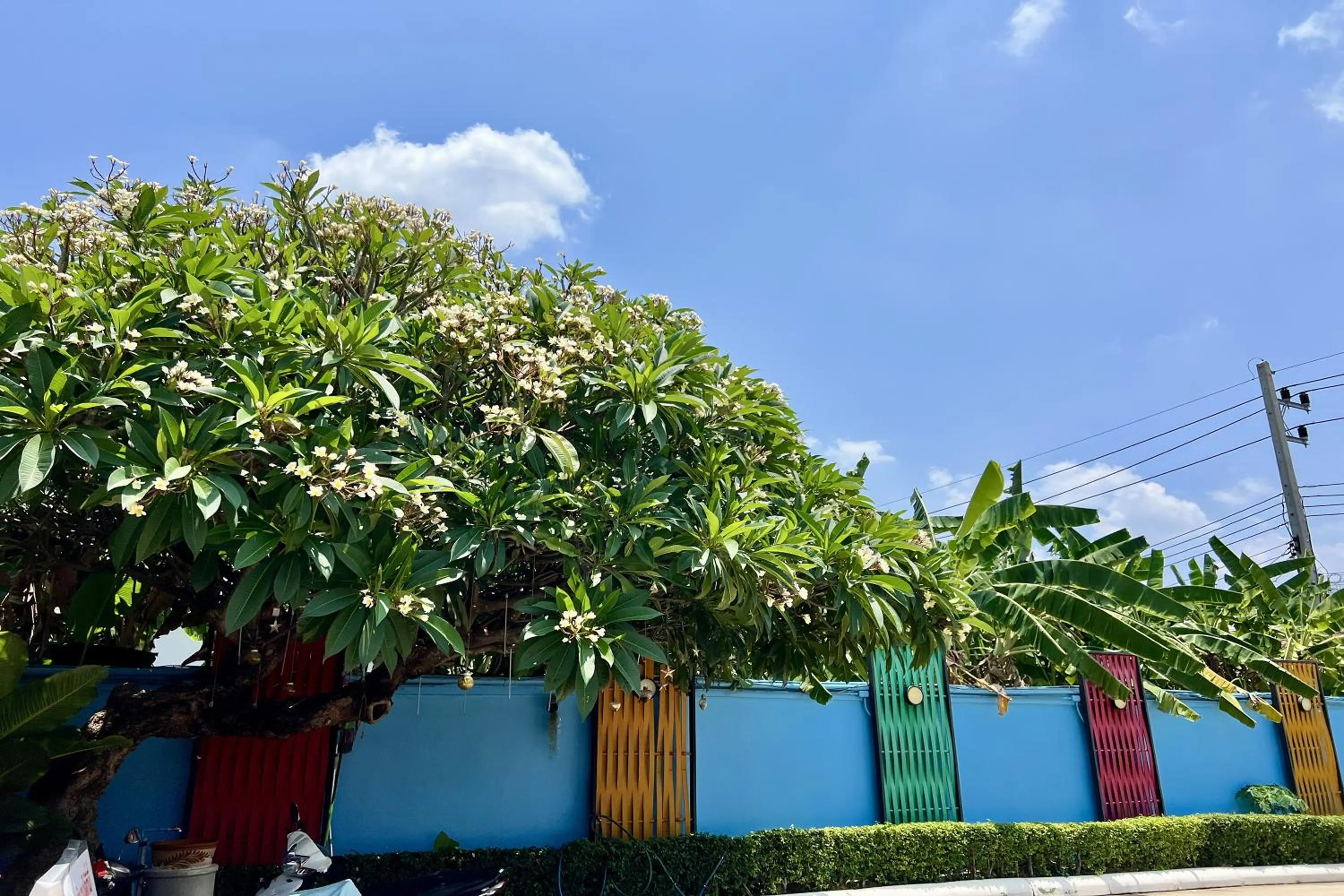 Property building in Full House Udon