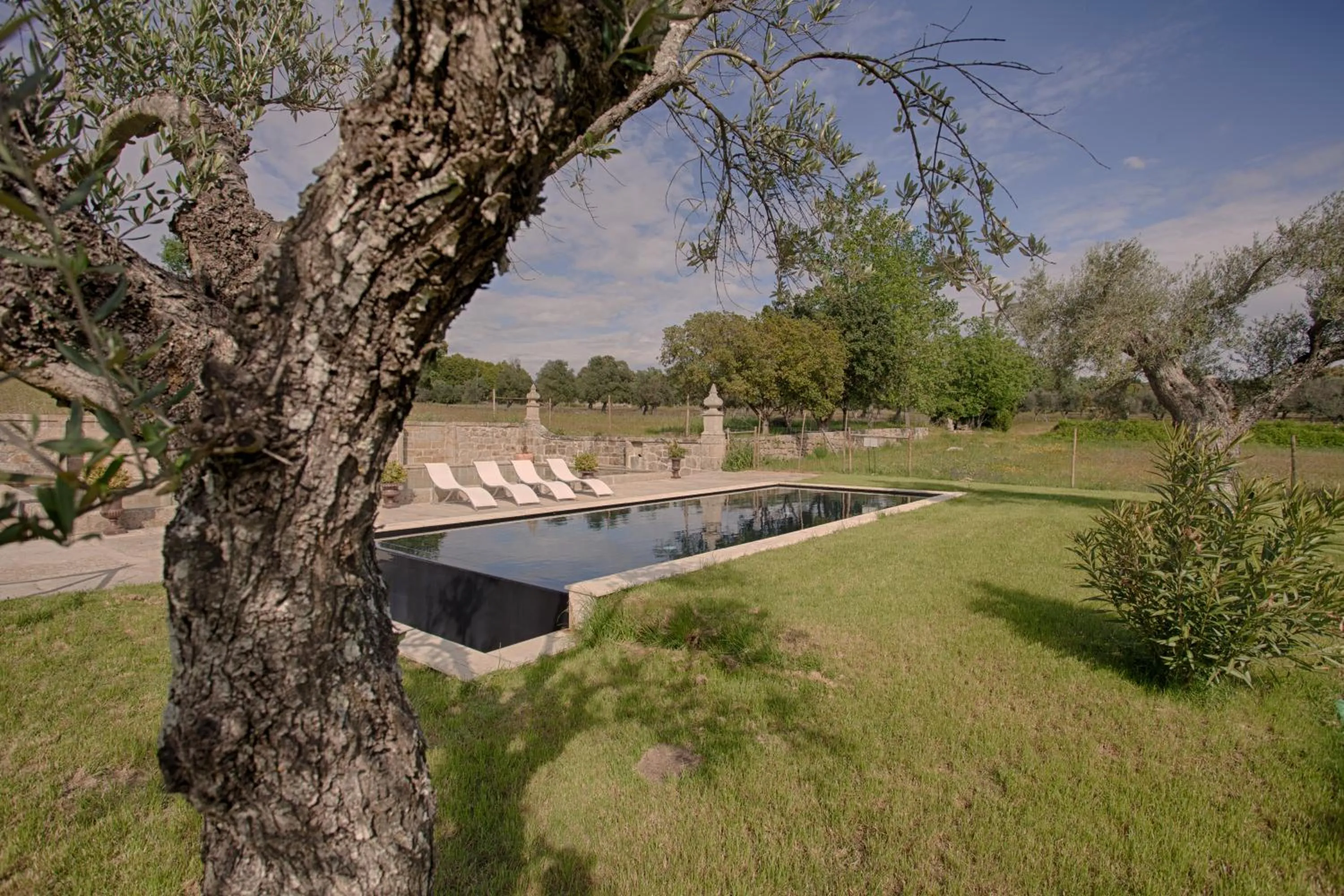 Pool view in Quinta Dos Carvalhos Castelo Branco