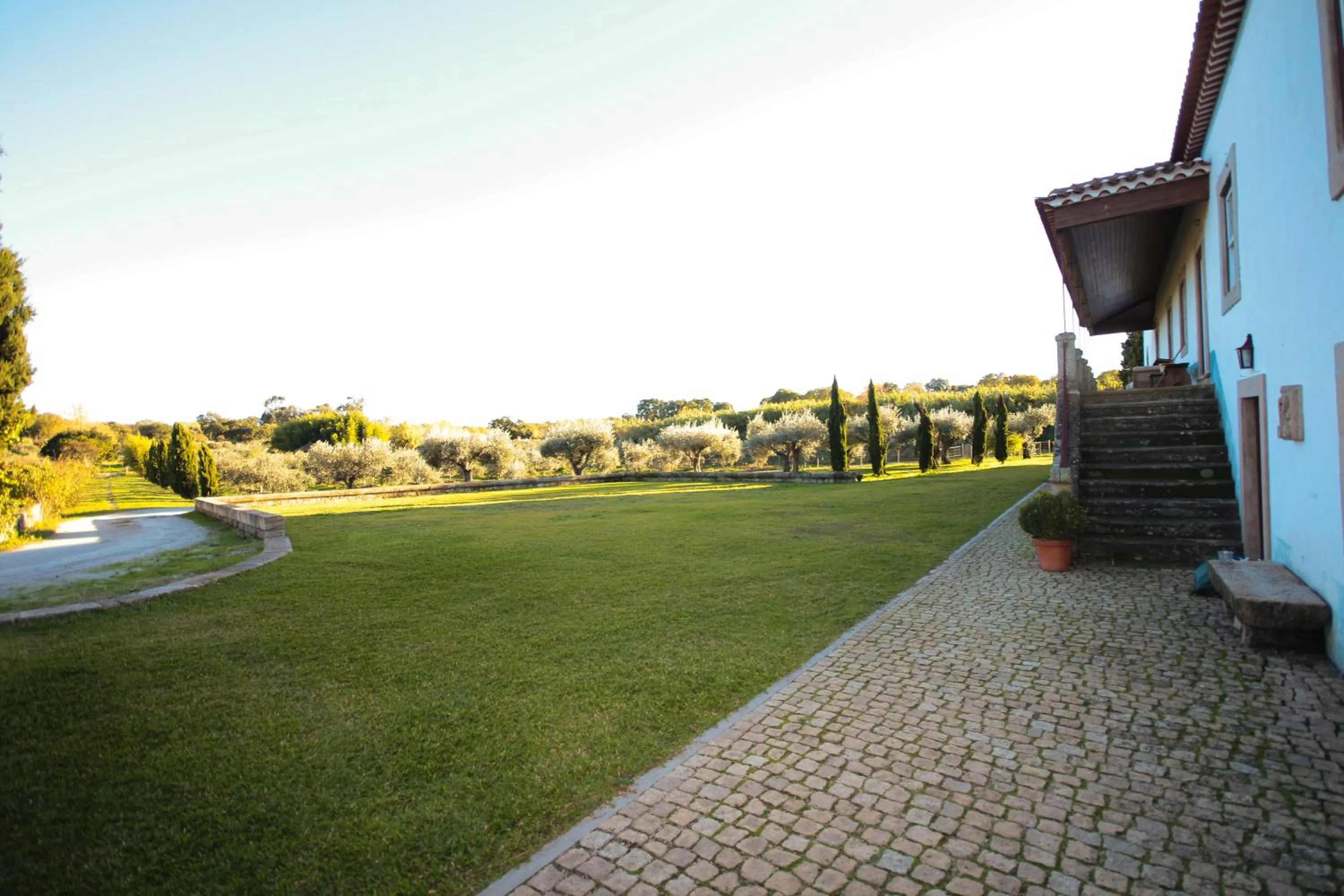 Property building in Quinta Dos Carvalhos Castelo Branco