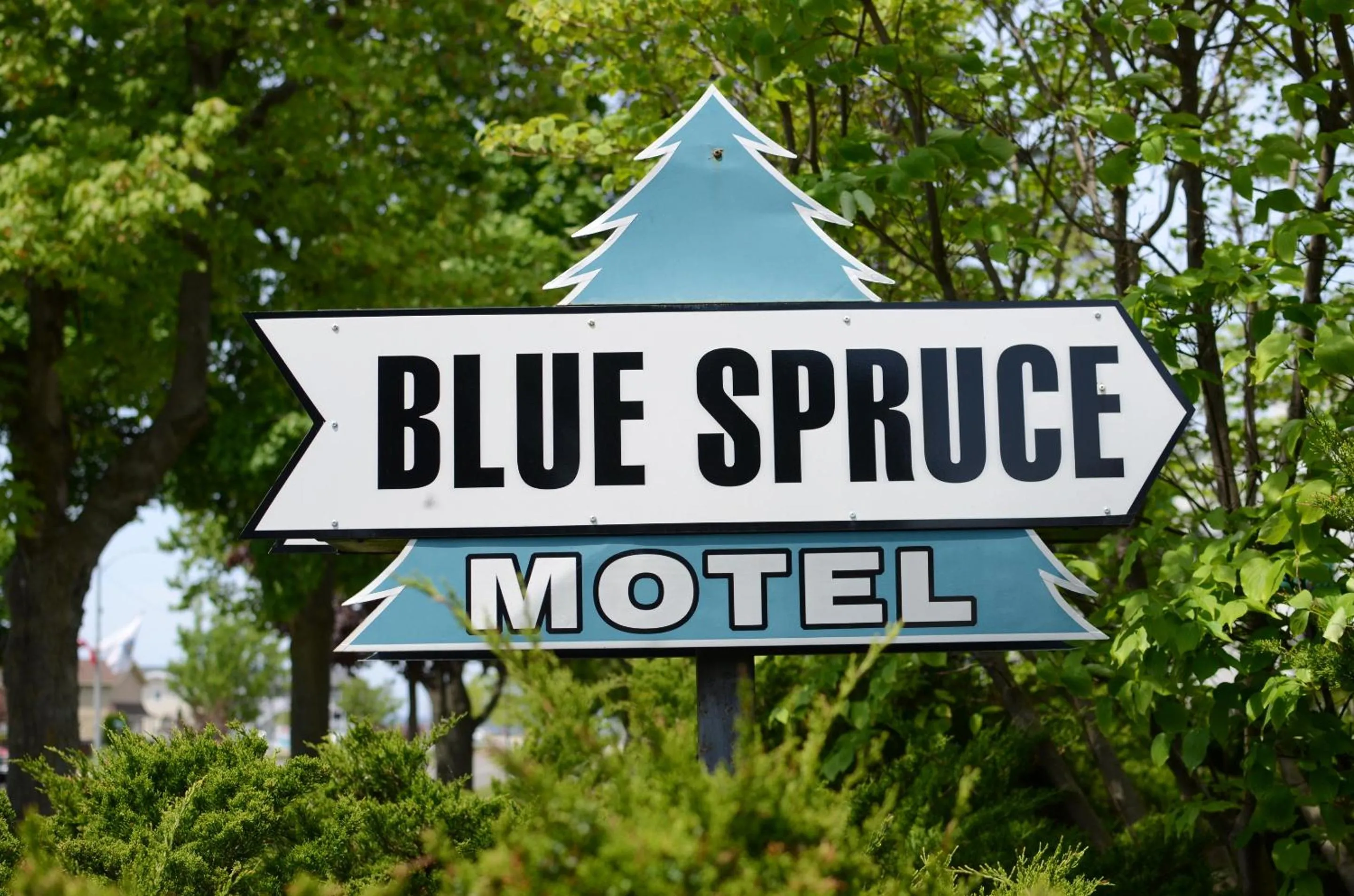 Property building in Ludington Blue Spruce Inn