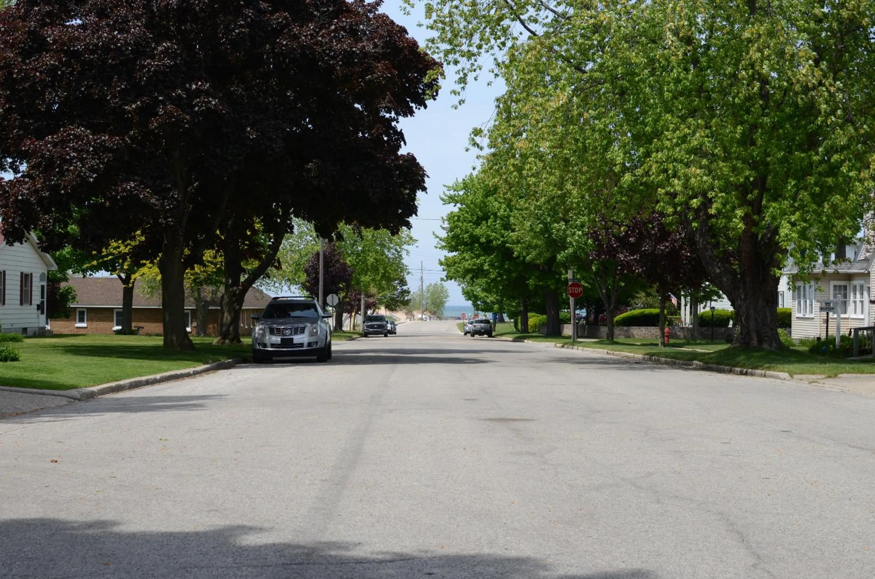 Neighbourhood in Ludington Blue Spruce Inn