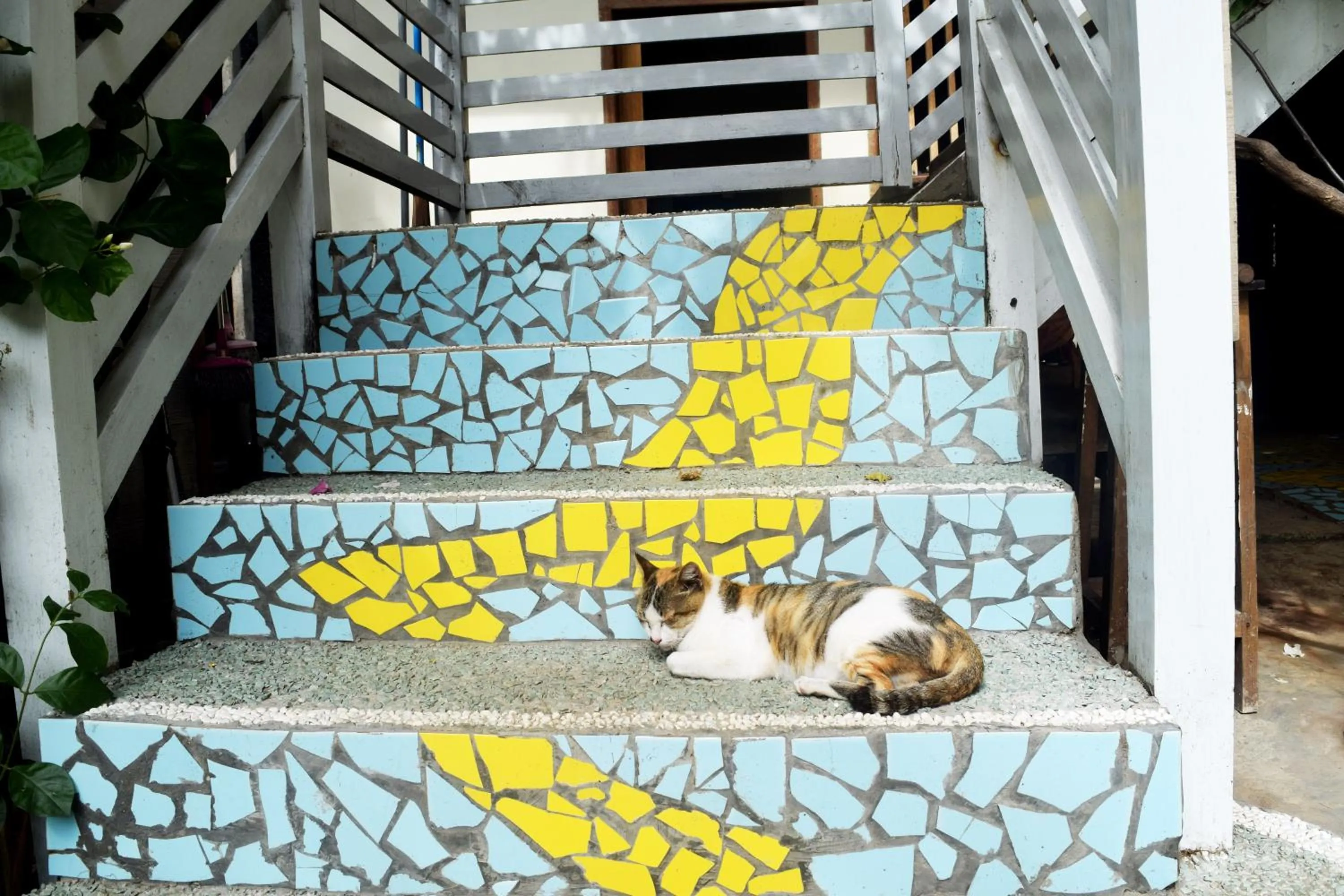 Pets in Panda Cottage