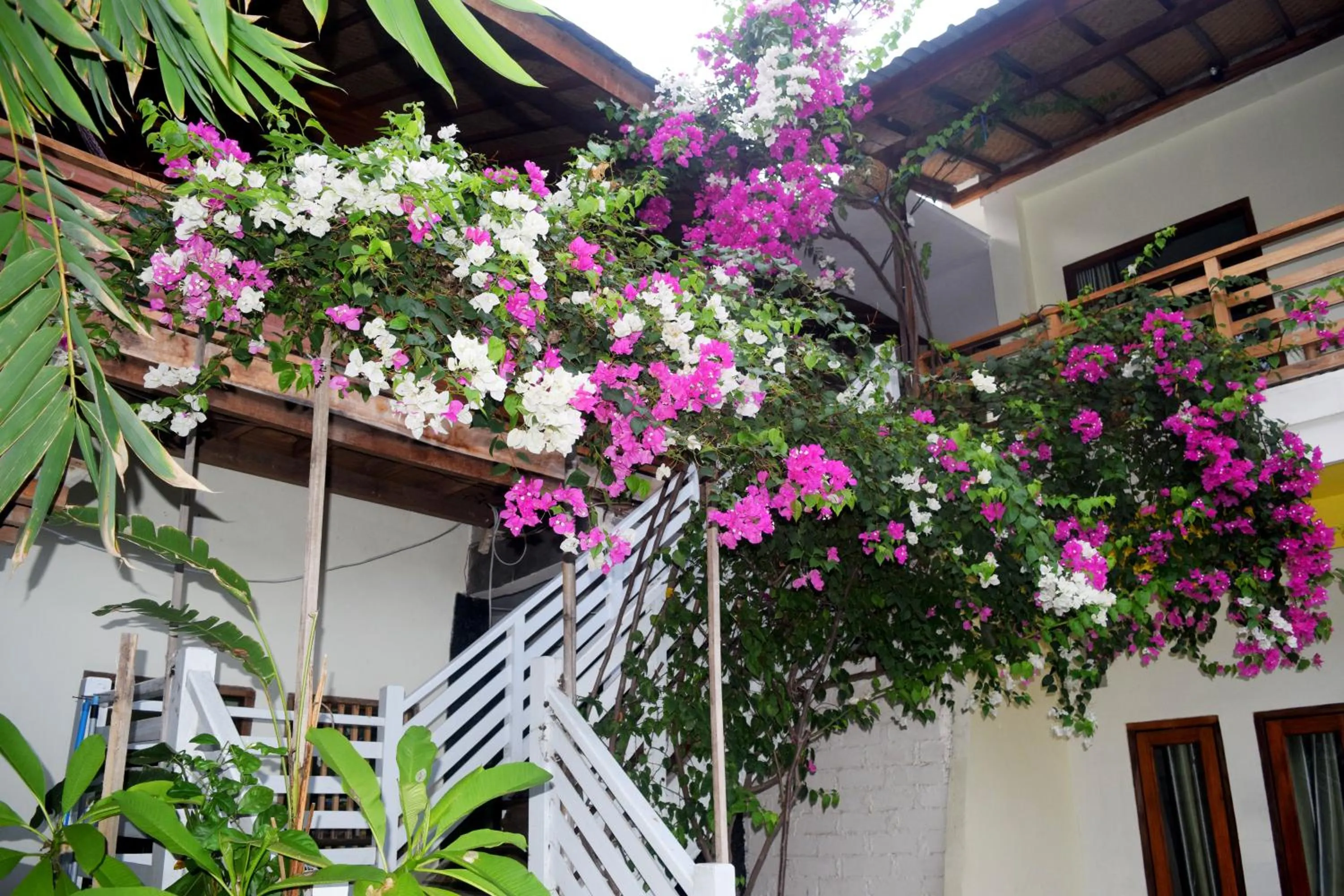 Garden in Panda Cottage