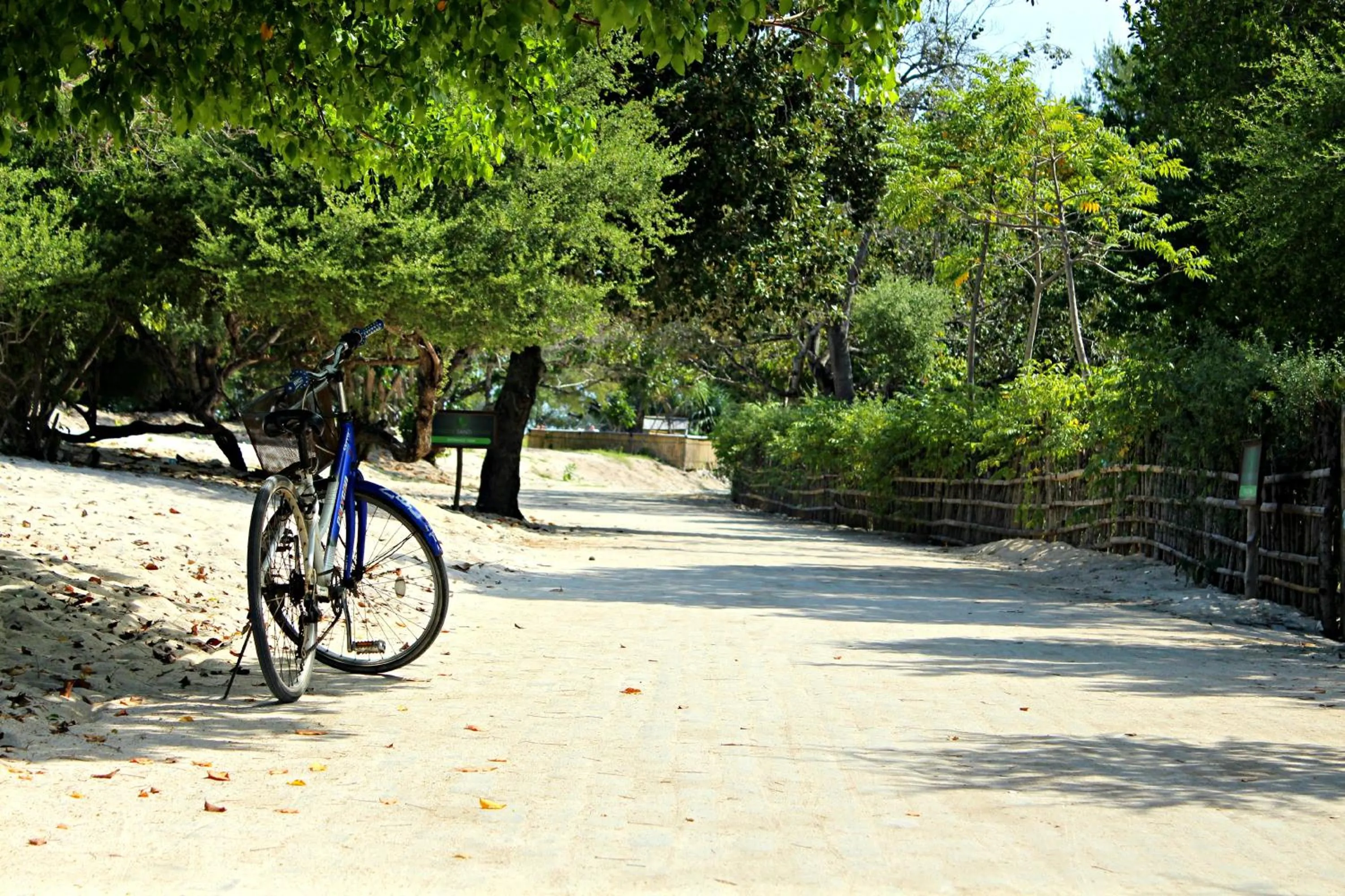 Day in Panda Cottage