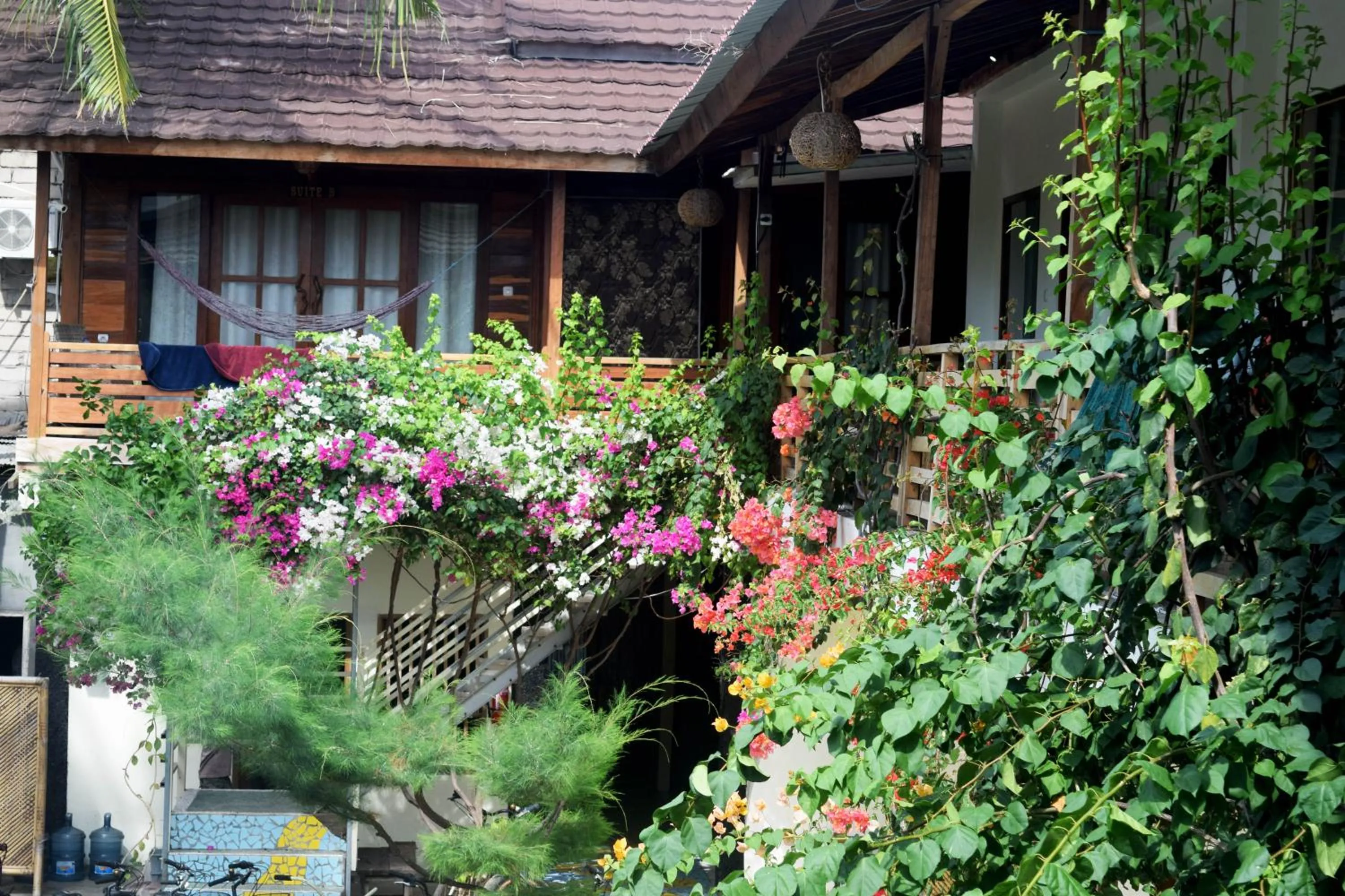 Property building in Panda Cottage