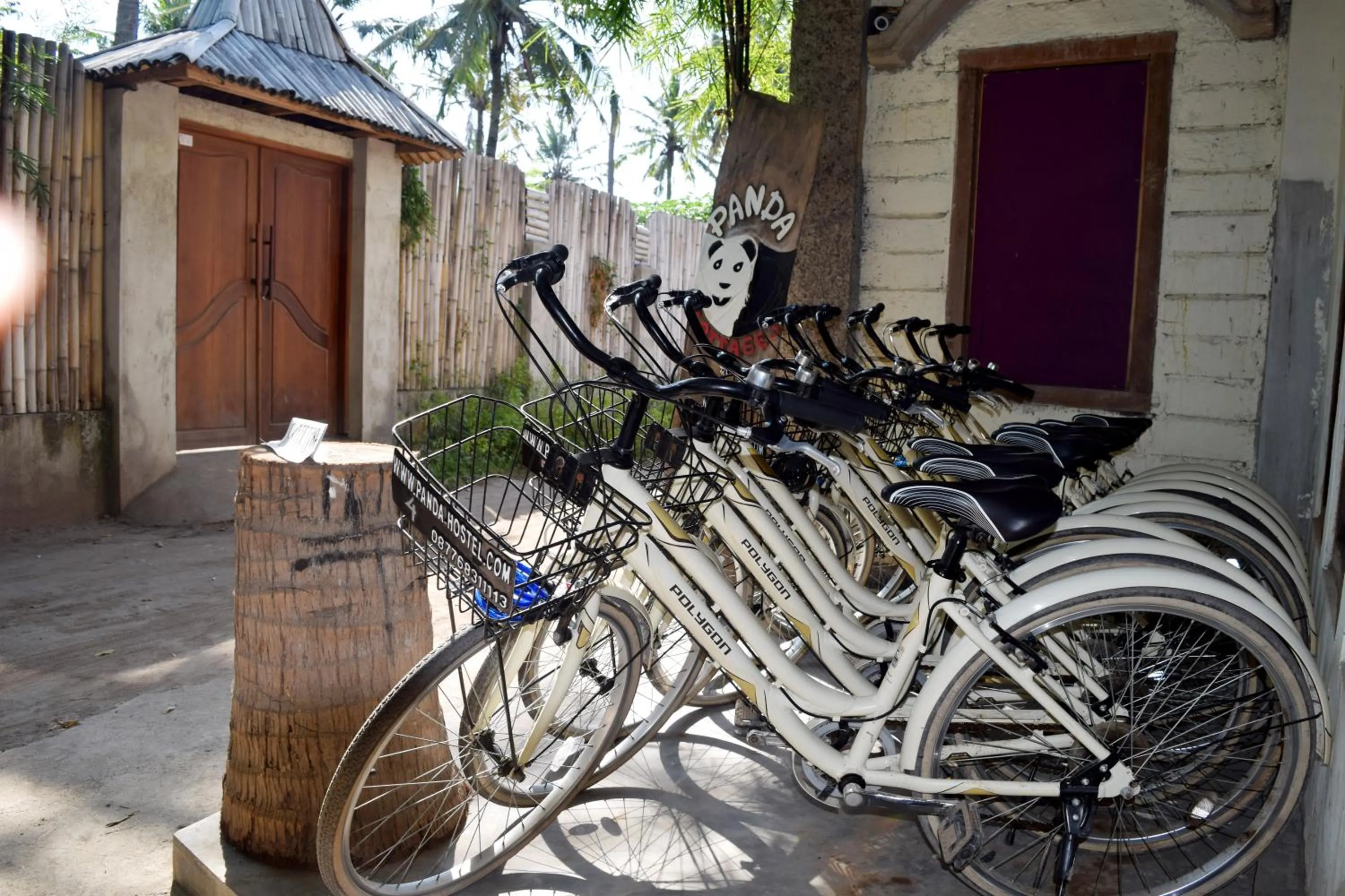 Cycling in Panda Cottage