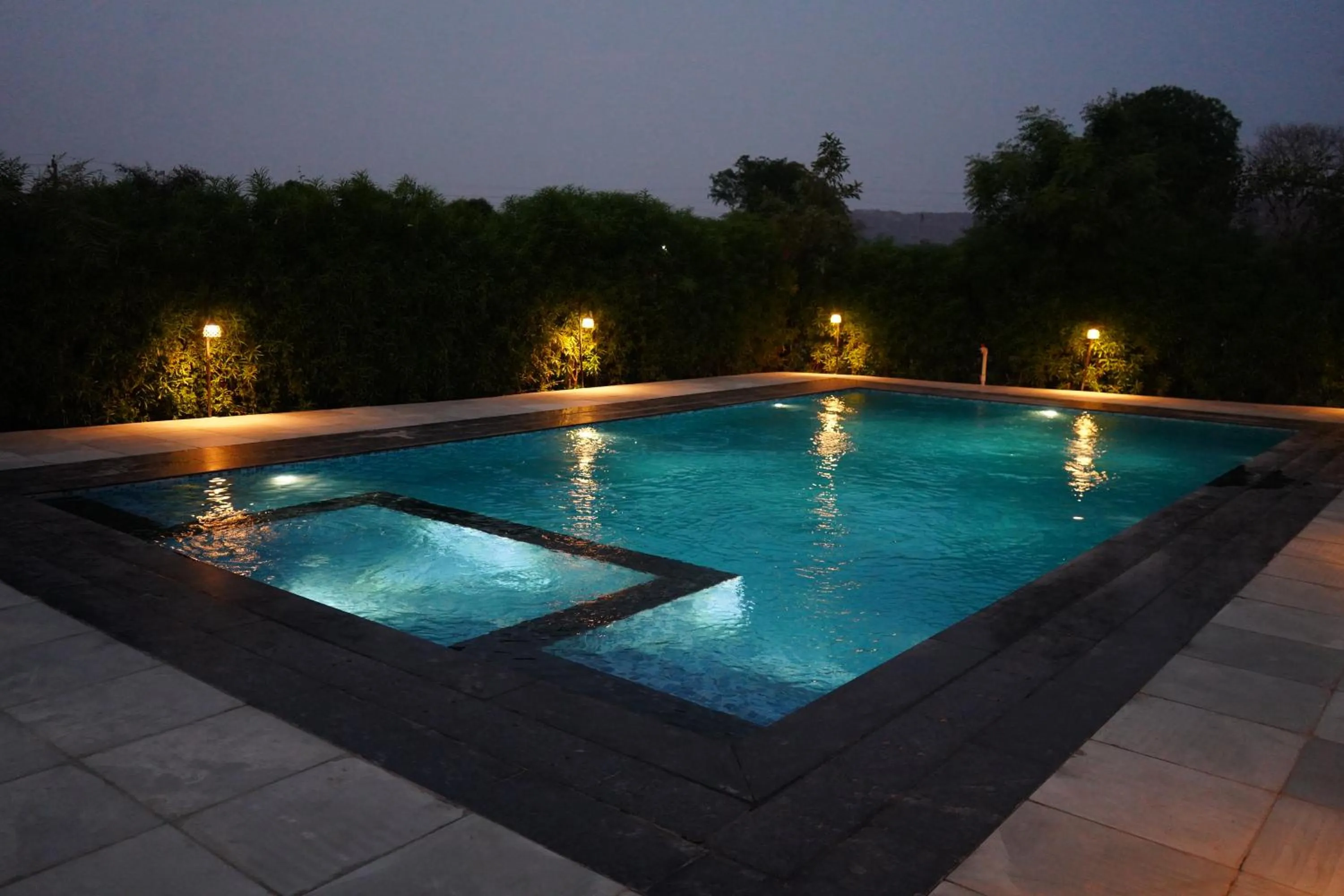 Swimming pool in Sundervan Vilas Ranthambore