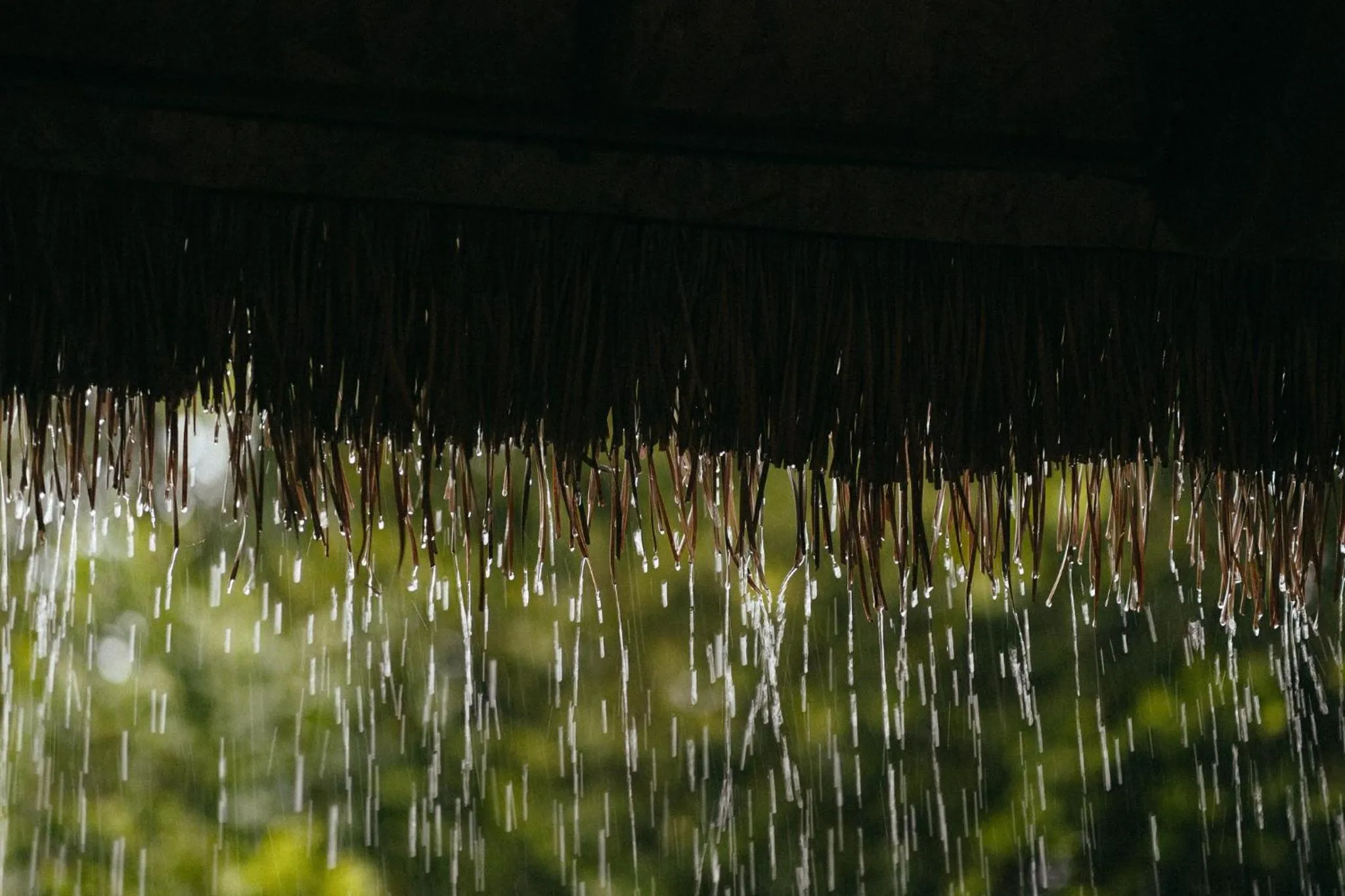 Natural landscape in Sanctuary Kanchanaburi